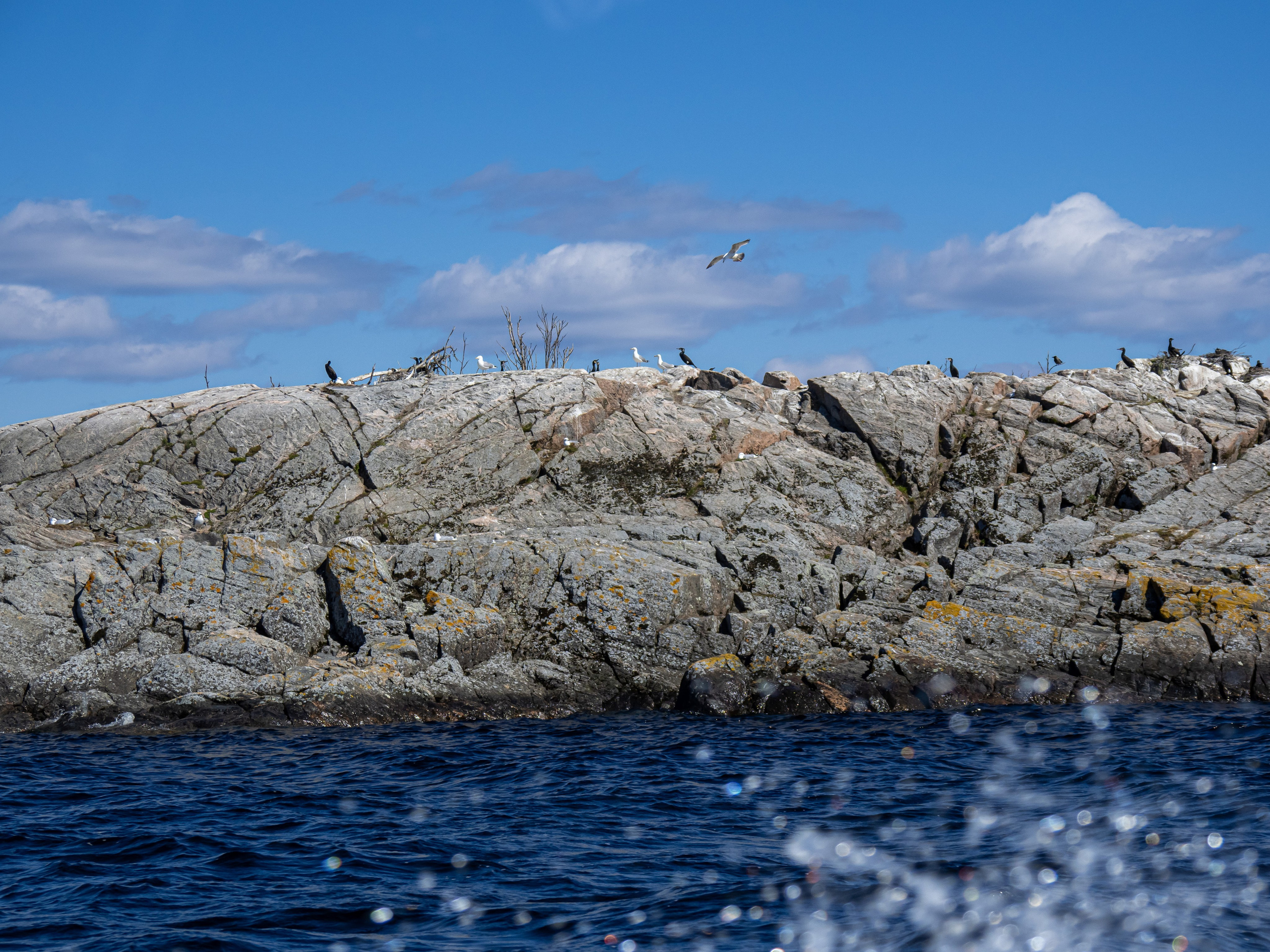 Кронштадт-Сортавала-Валаам-Выборг. Творческие сьемки