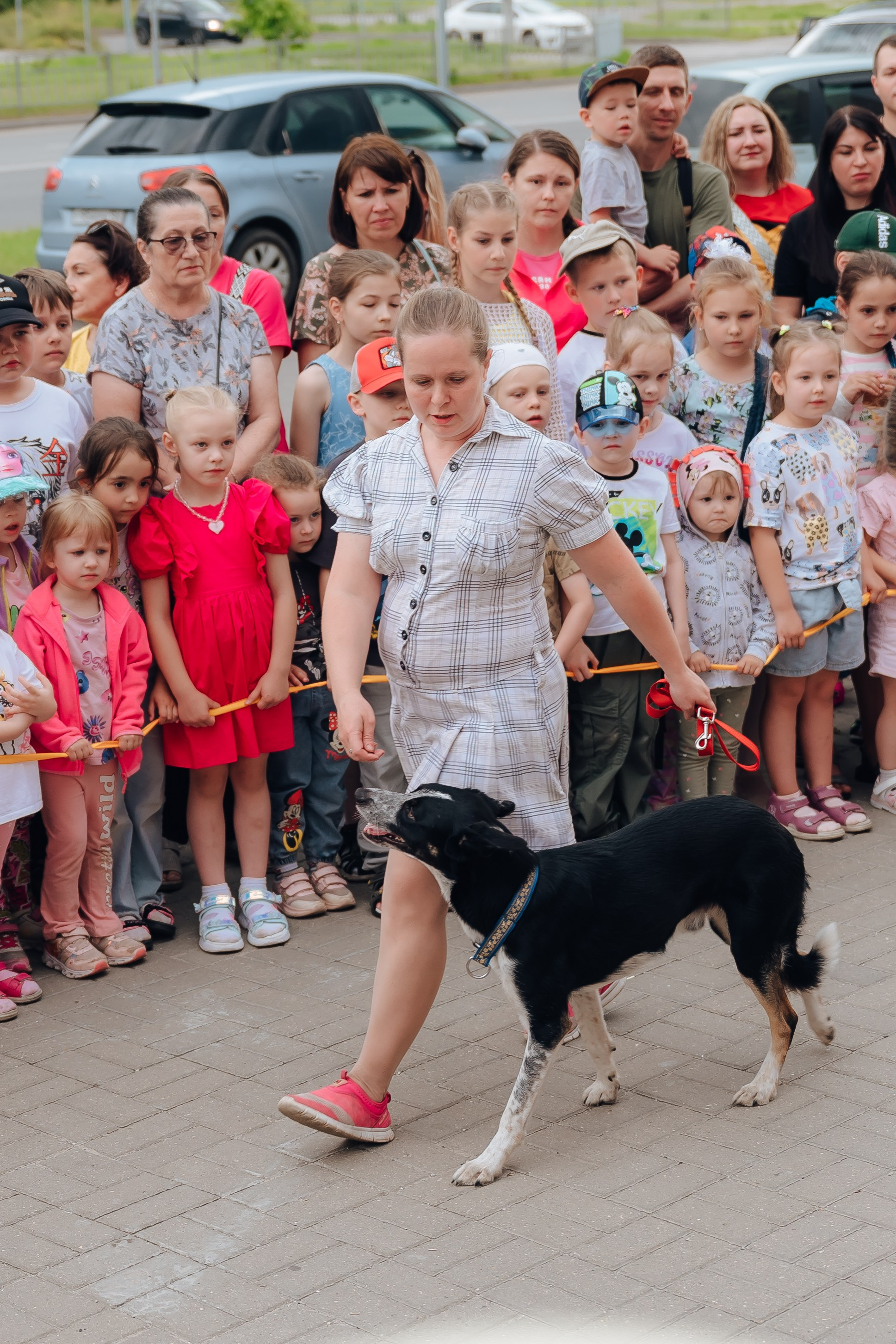 Открытие Мультифокс. Детский и семейный фотограф Катерина Мишина