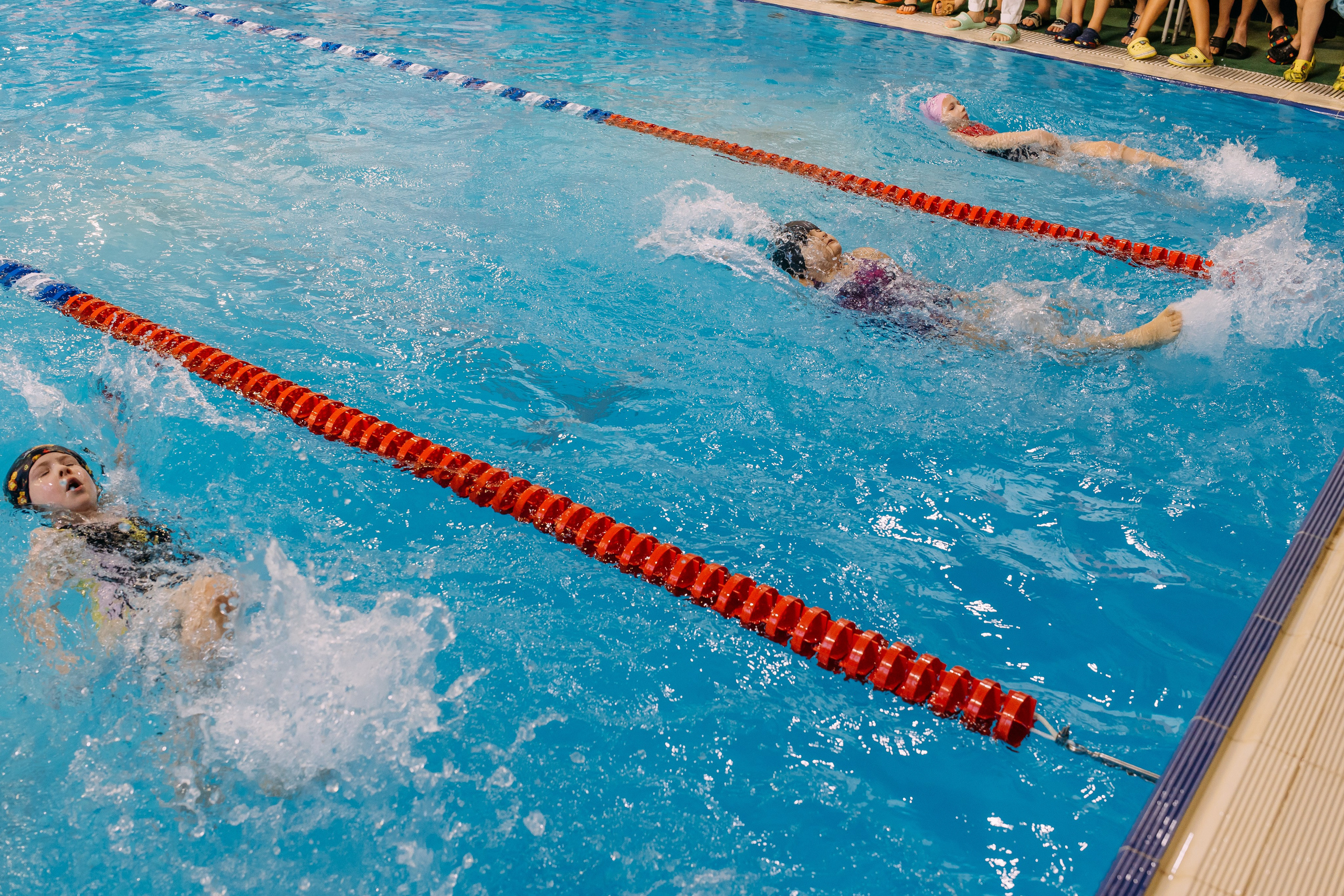 Соревнования по плаванию. Семейный фотограф в Волгограде Надежда Головко