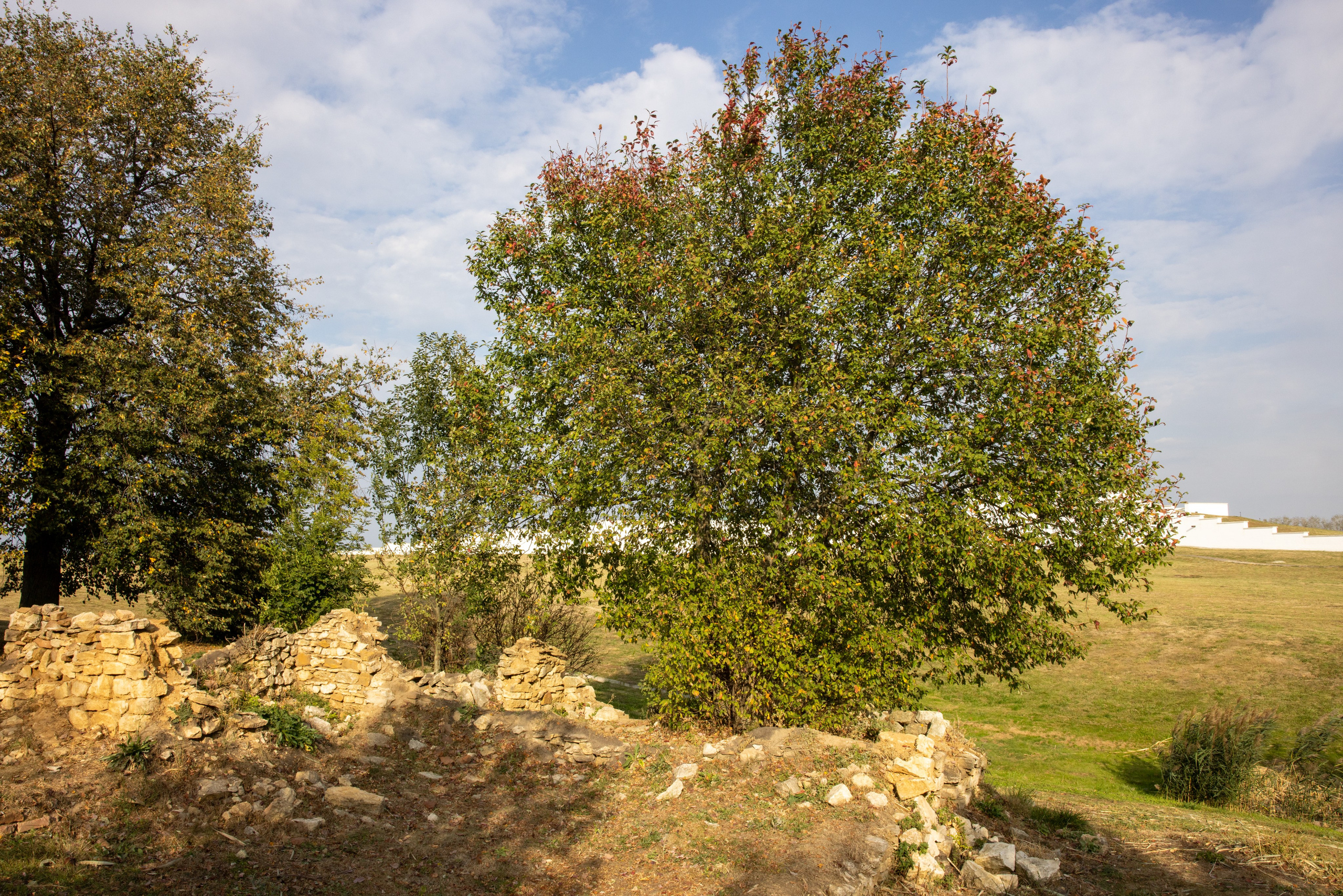 Куликово Поле. Фотограф в Туле Крупский АнДРей. Фотостудия «КАДР71» в Туле