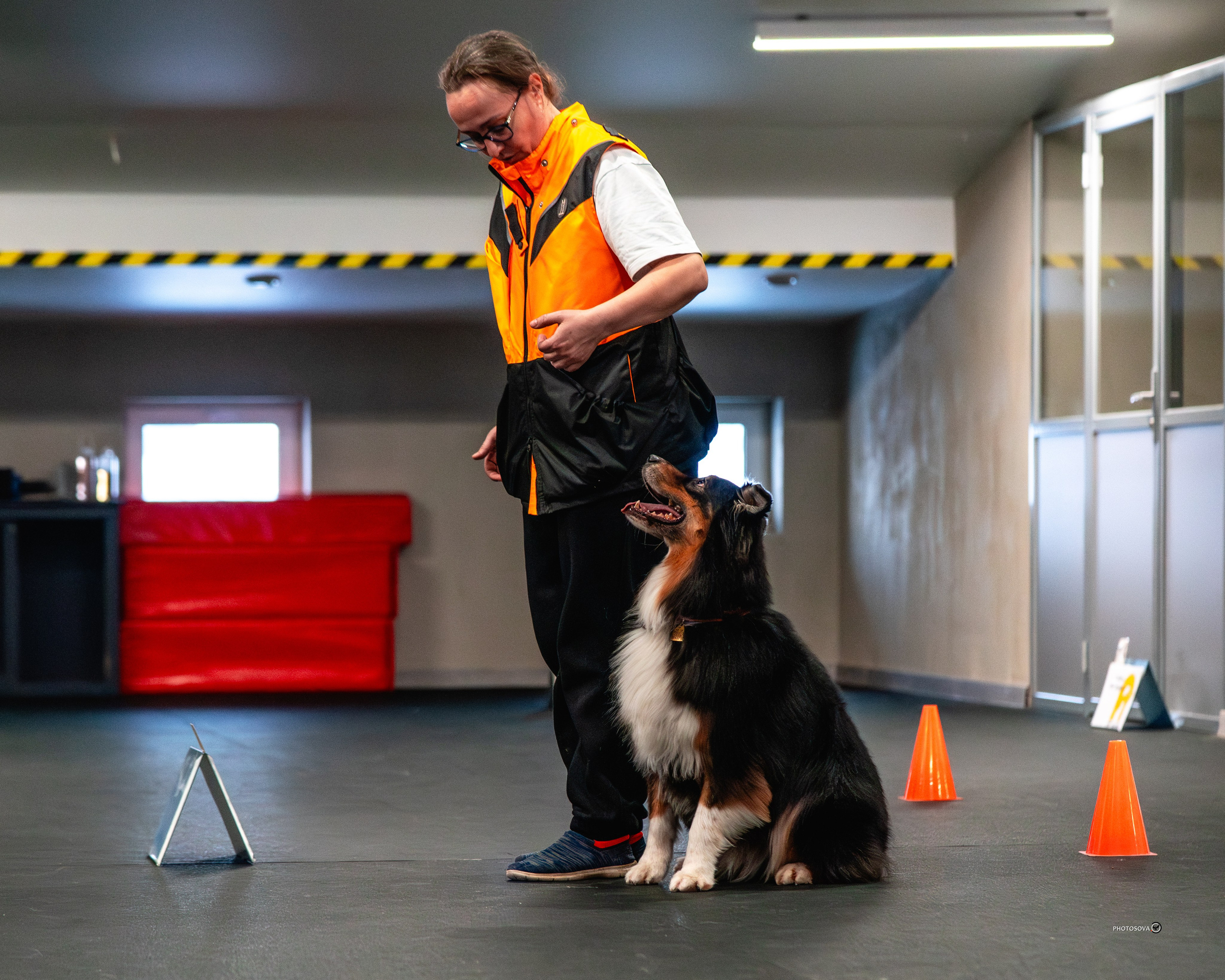 ТЫ И Я (соревнования по ралли-обидиенс). Фотограф-анималист, семейный фотограф в Москве и Подмосковье. Фотосъёмка кинологических дисциплин