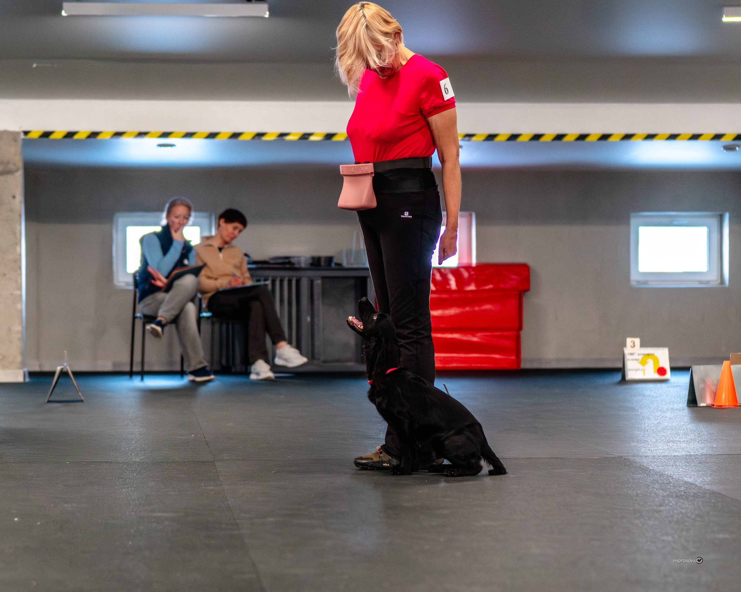 ТЫ И Я (соревнования по ралли-обидиенс). Фотограф-анималист, семейный фотограф в Москве и Подмосковье. Фотосъёмка кинологических дисциплин