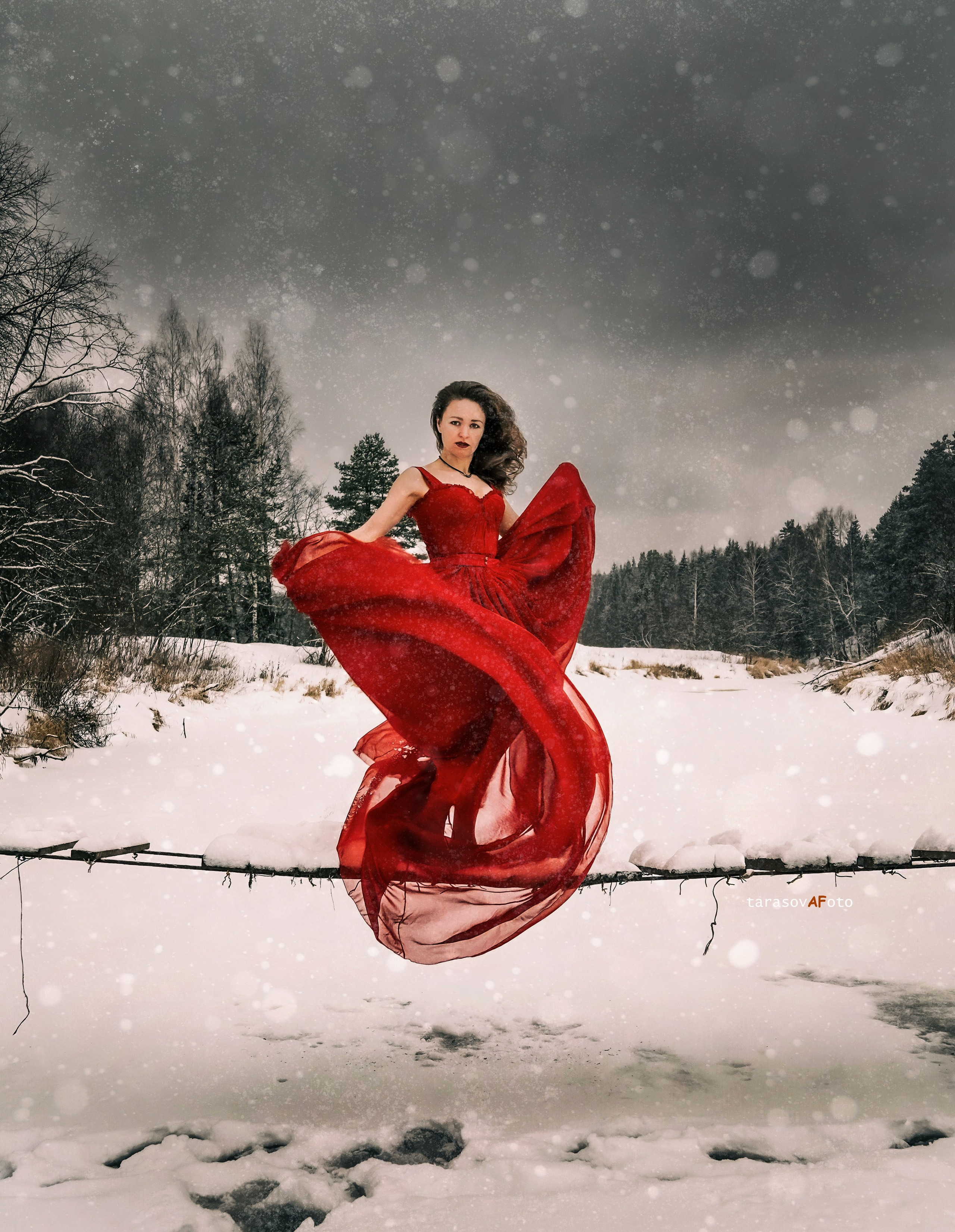 ФОТОПАМЯТЬ ВАШИХ ЭМОЦИЙ. Фотограф-анималист, семейный фотограф в Москве и Подмосковье. Фотосъёмка кинологических дисциплин