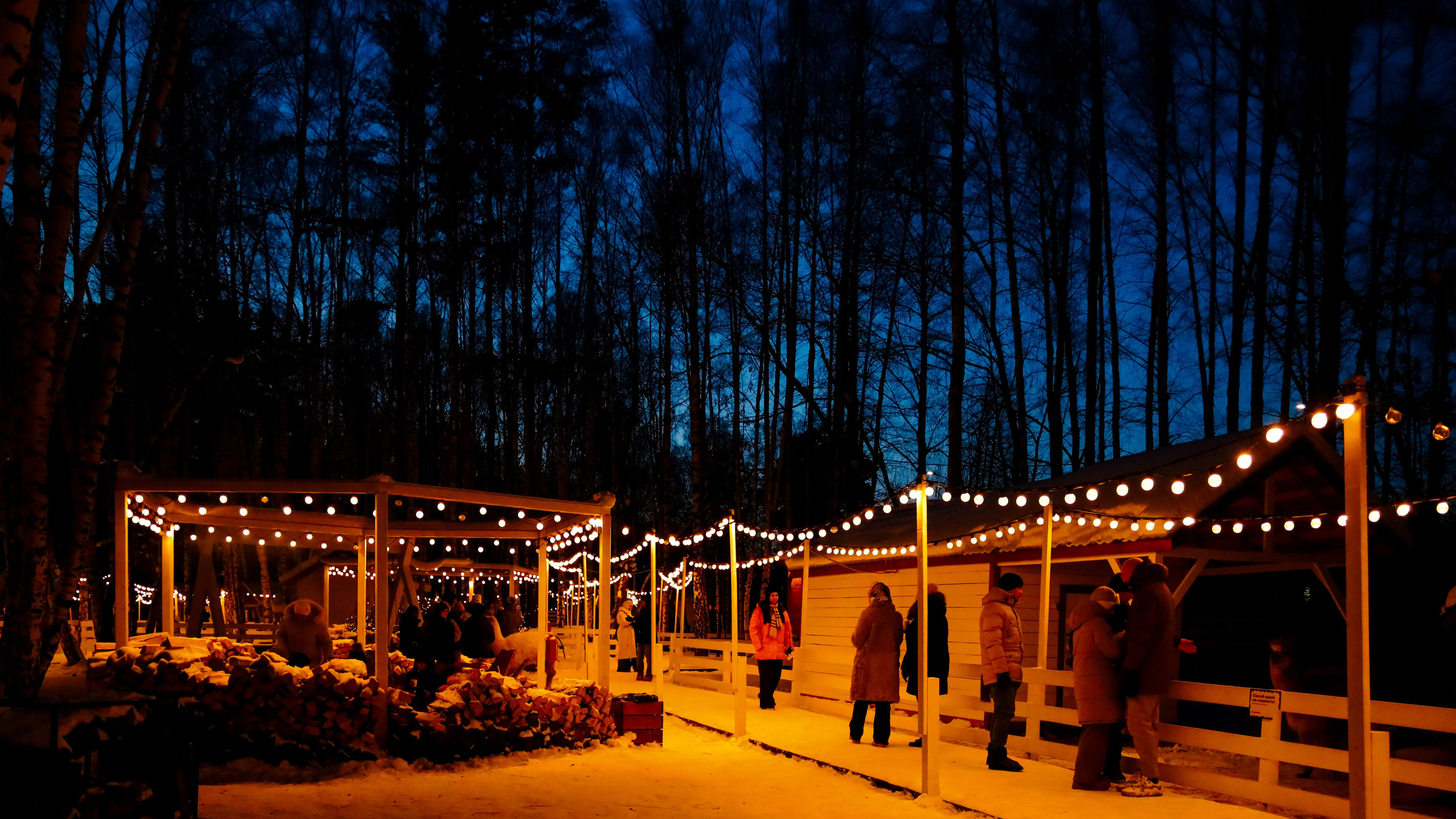 Alpaca park. Фотограф/дизайнер в Екатеринбурге Хитрый Дмитрий