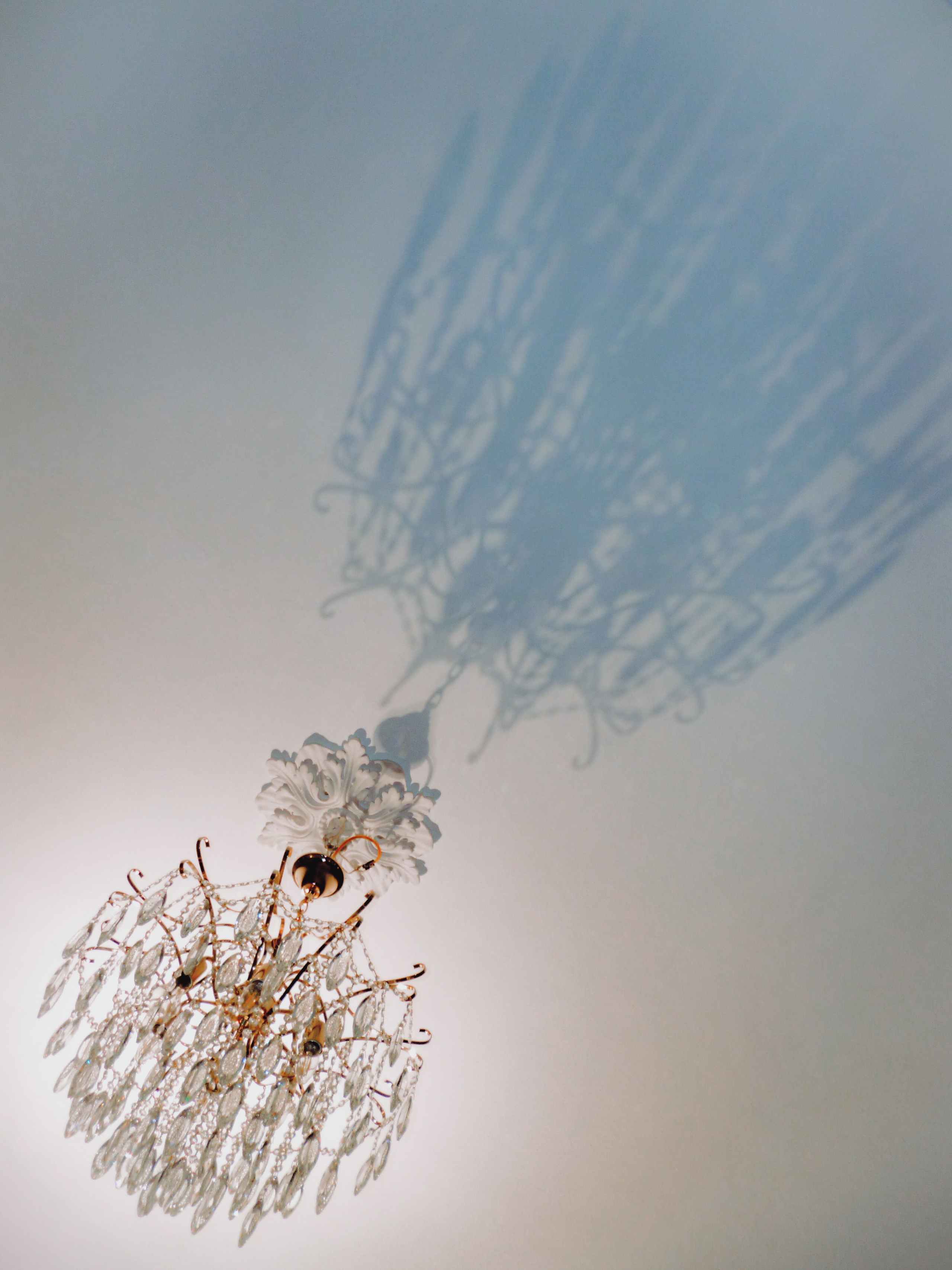 Crime. Фотограф Вито Бурмасов | Москва