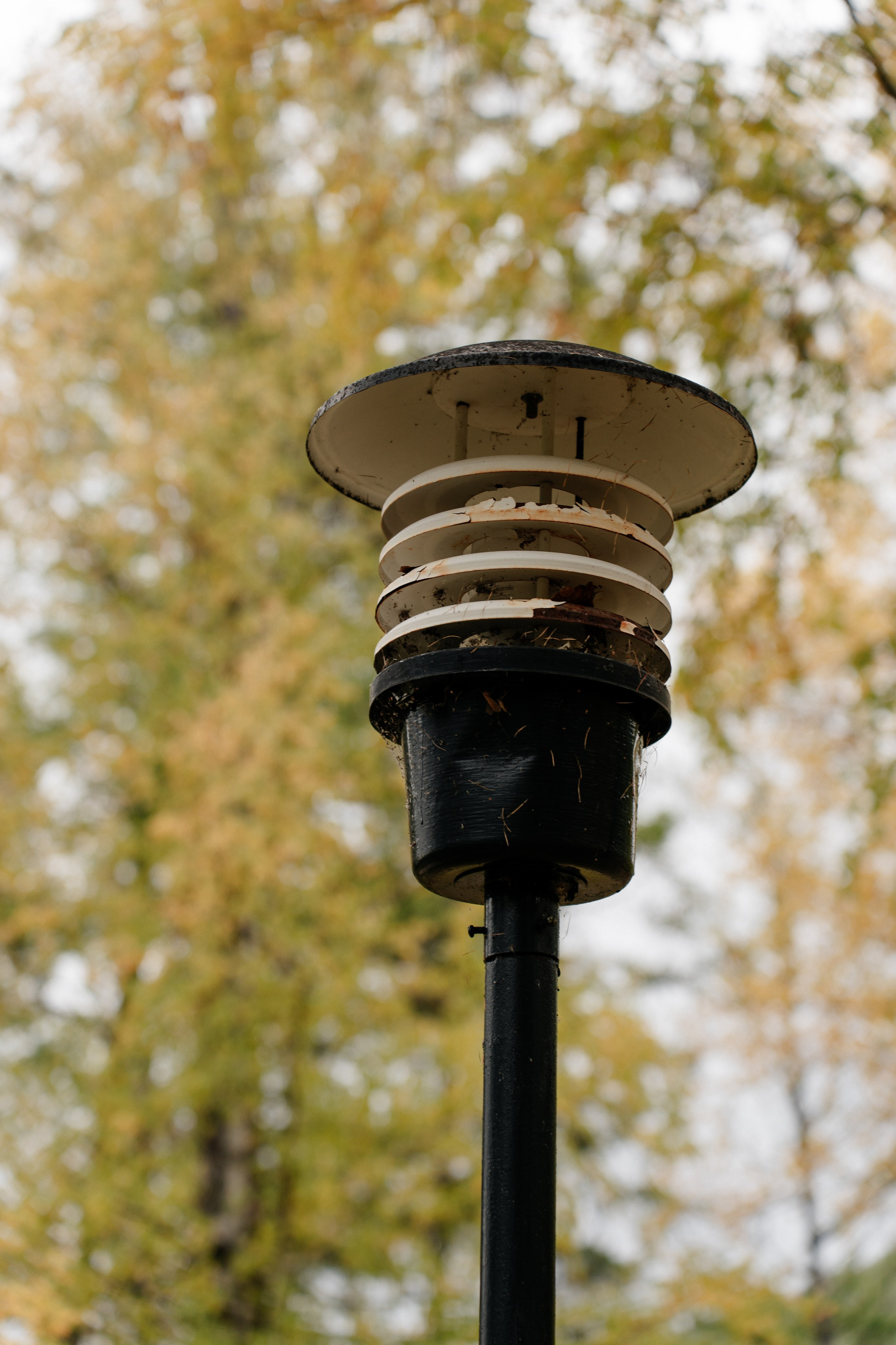 Любящий взгляд. Свадебный Фотограф Чита Малахов Филипп