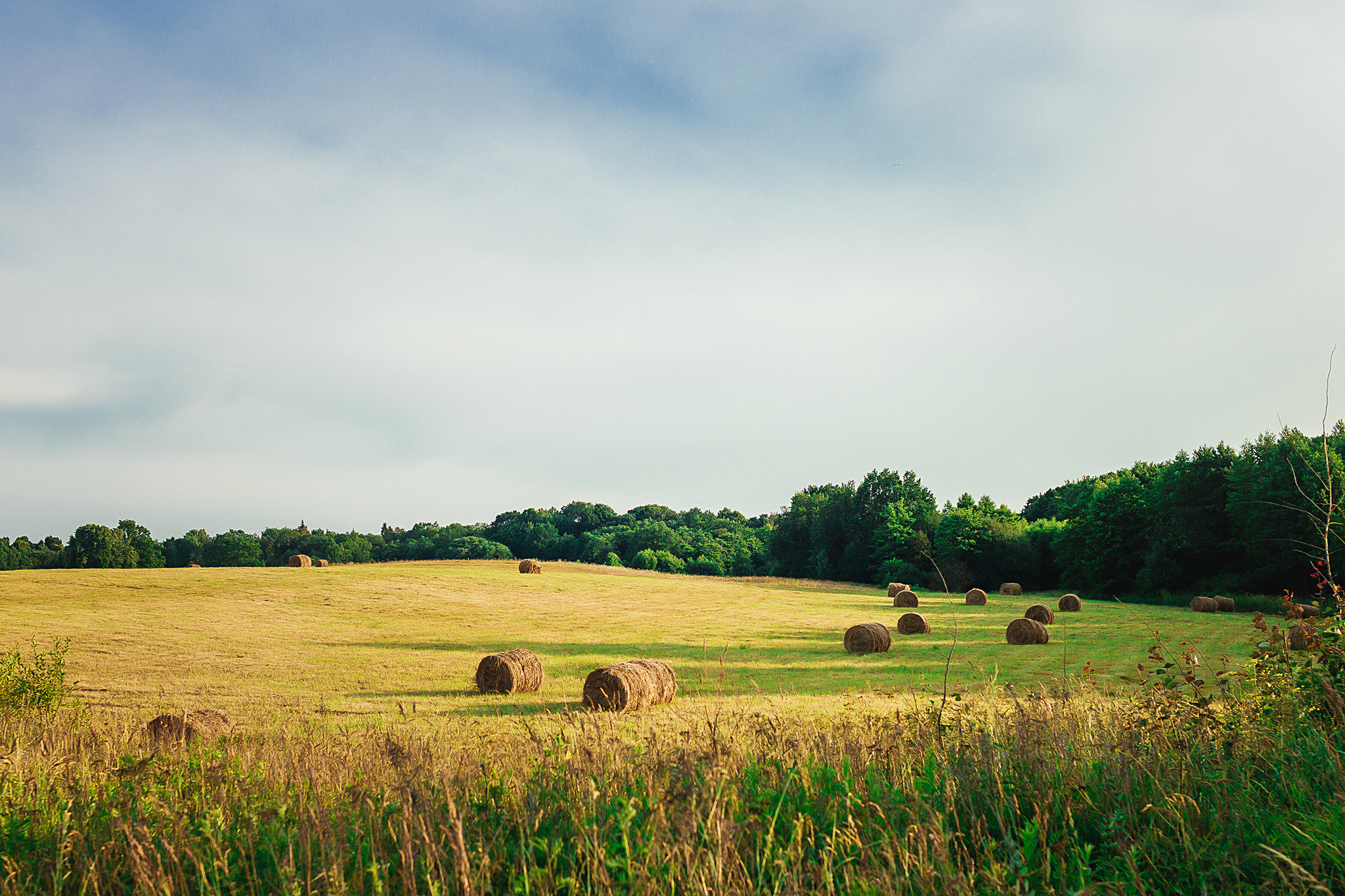 Кристина и Паша. Свадебный фотограф Калининград Пасюта Данила