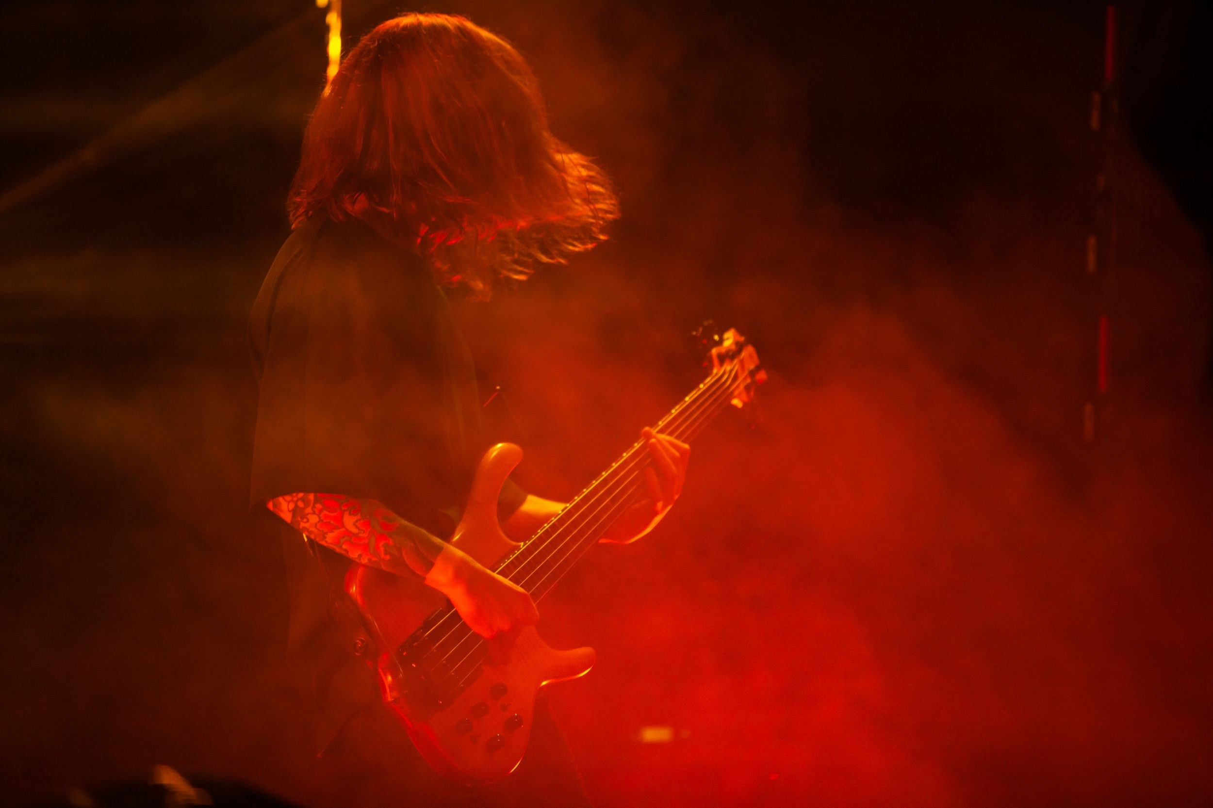 Animal ДжаZ. Репортажный фотограф Алексей Пирязев