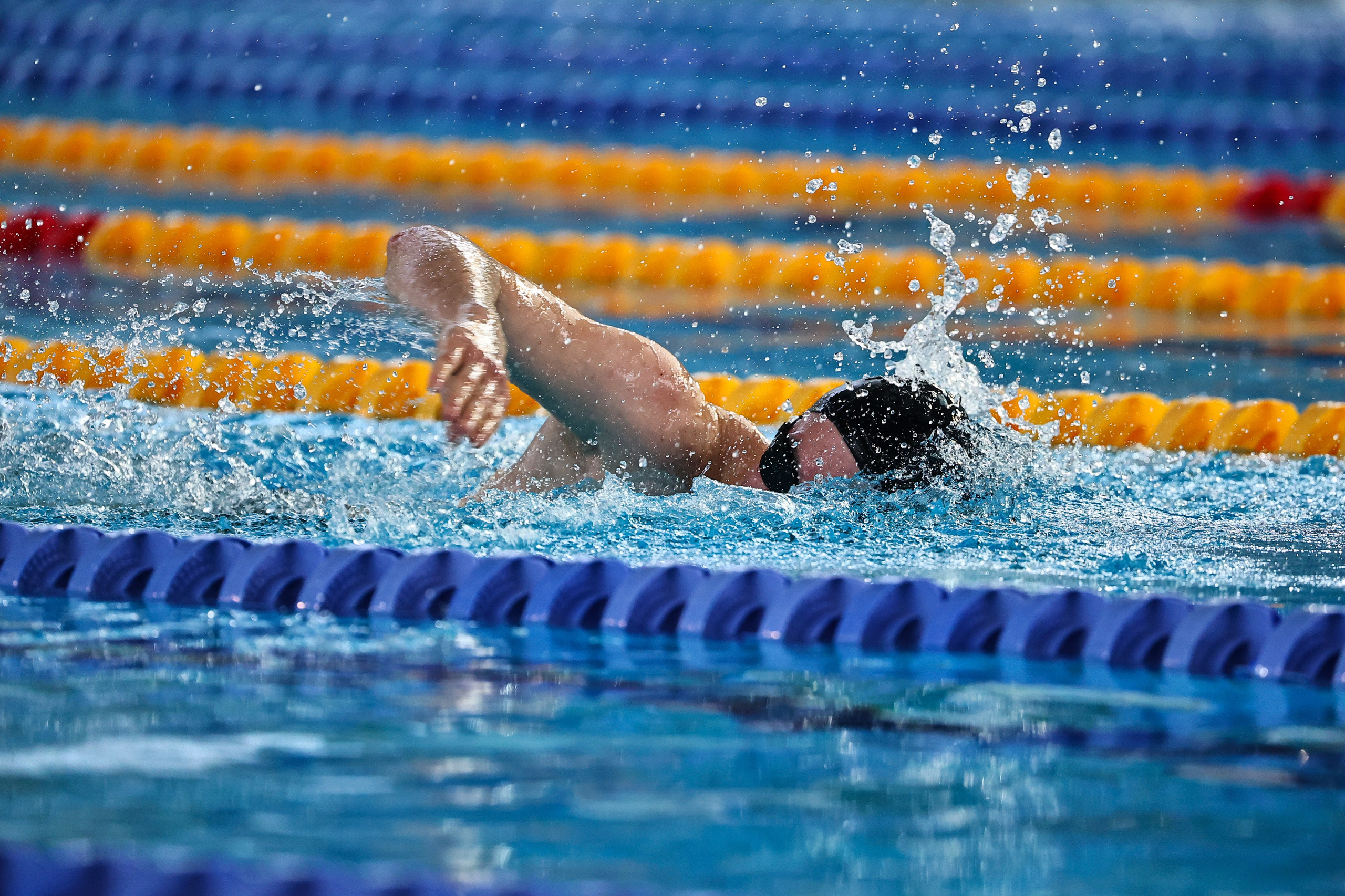 ДЗМ Плавание 2026. Фототерапевт Ева Бунеева