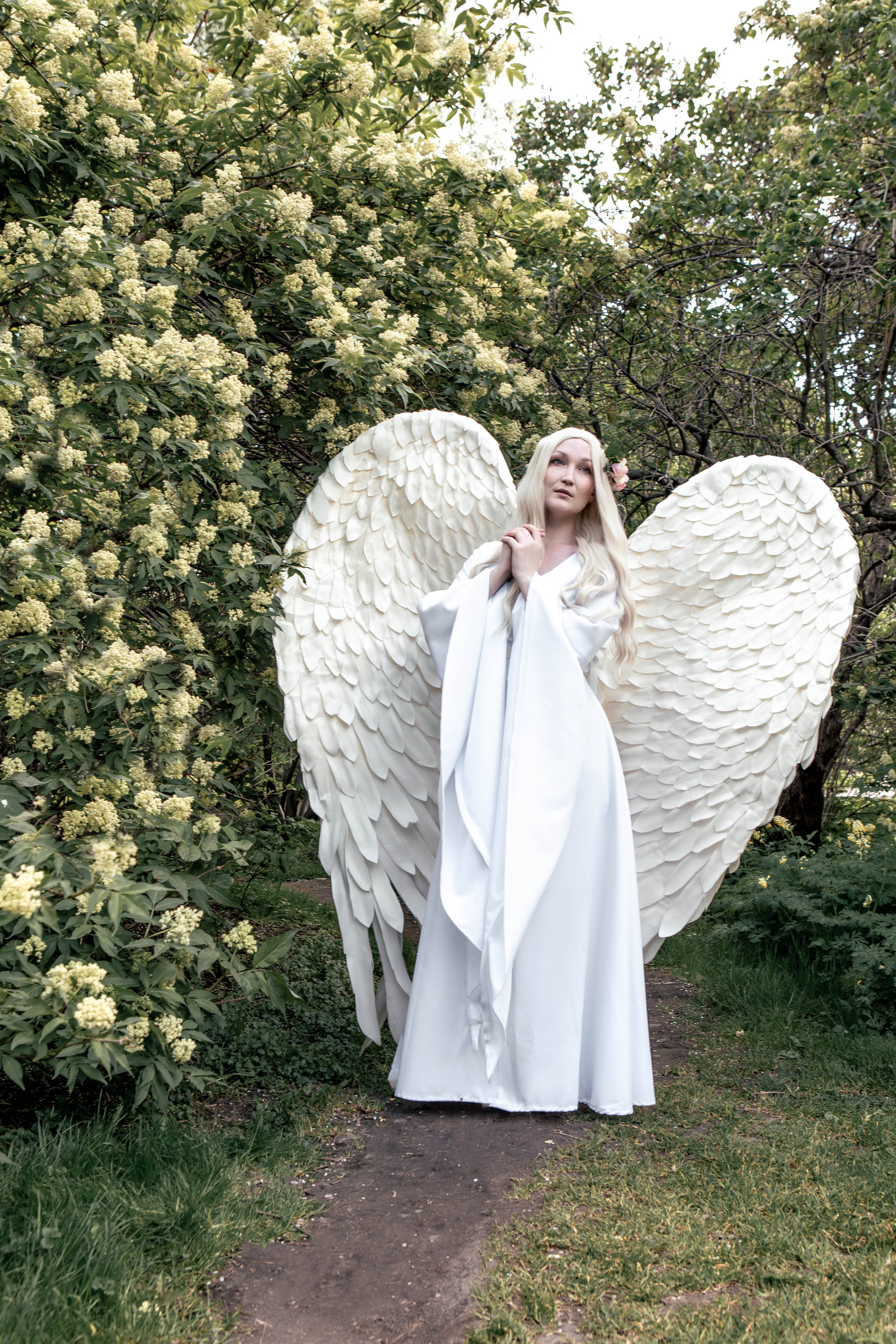 Майское цветение. Фотограф Екатерина Голицына