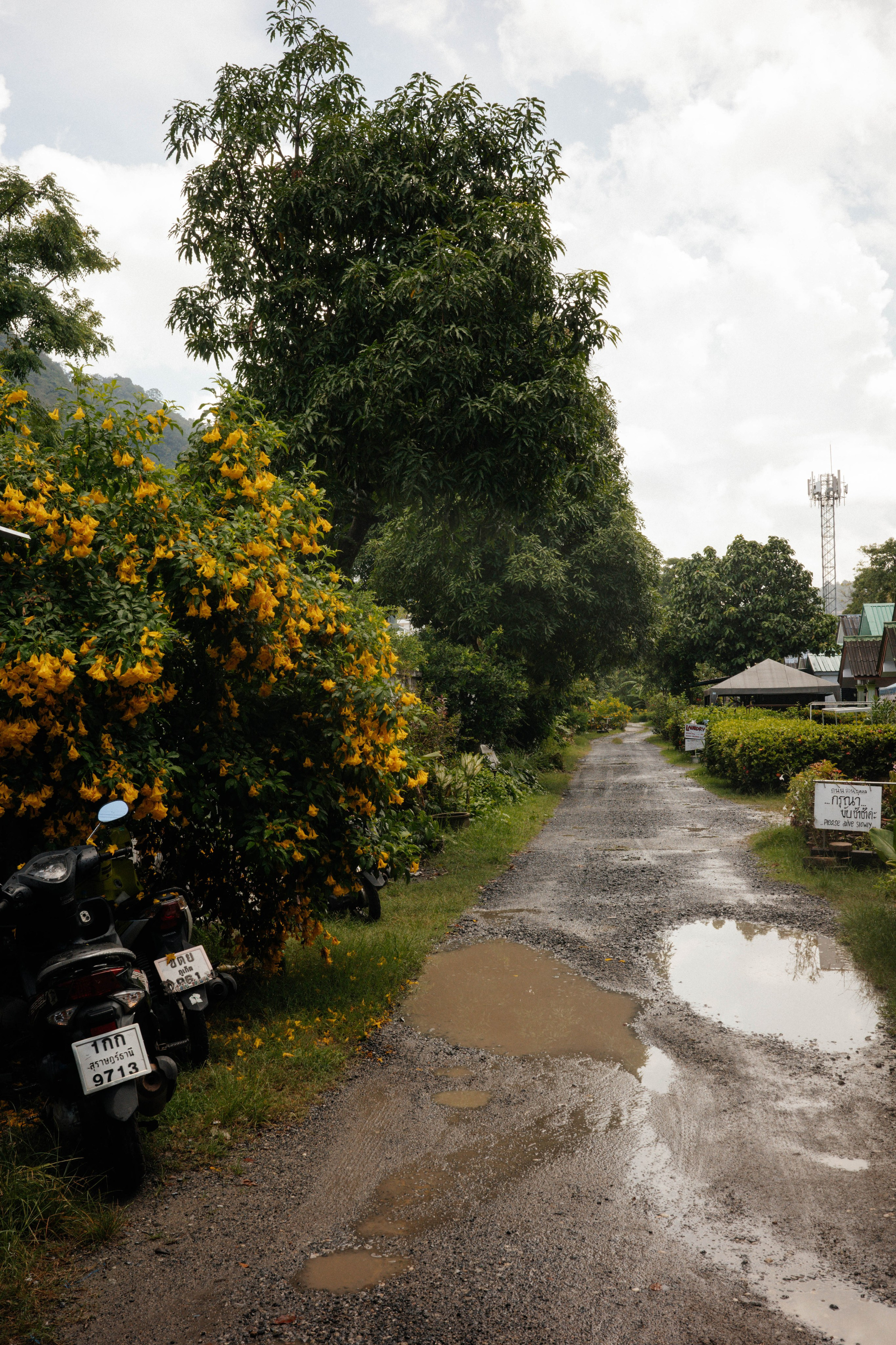 Тай, 2023. Свадебный фотограф Москва Александра Аверкова
