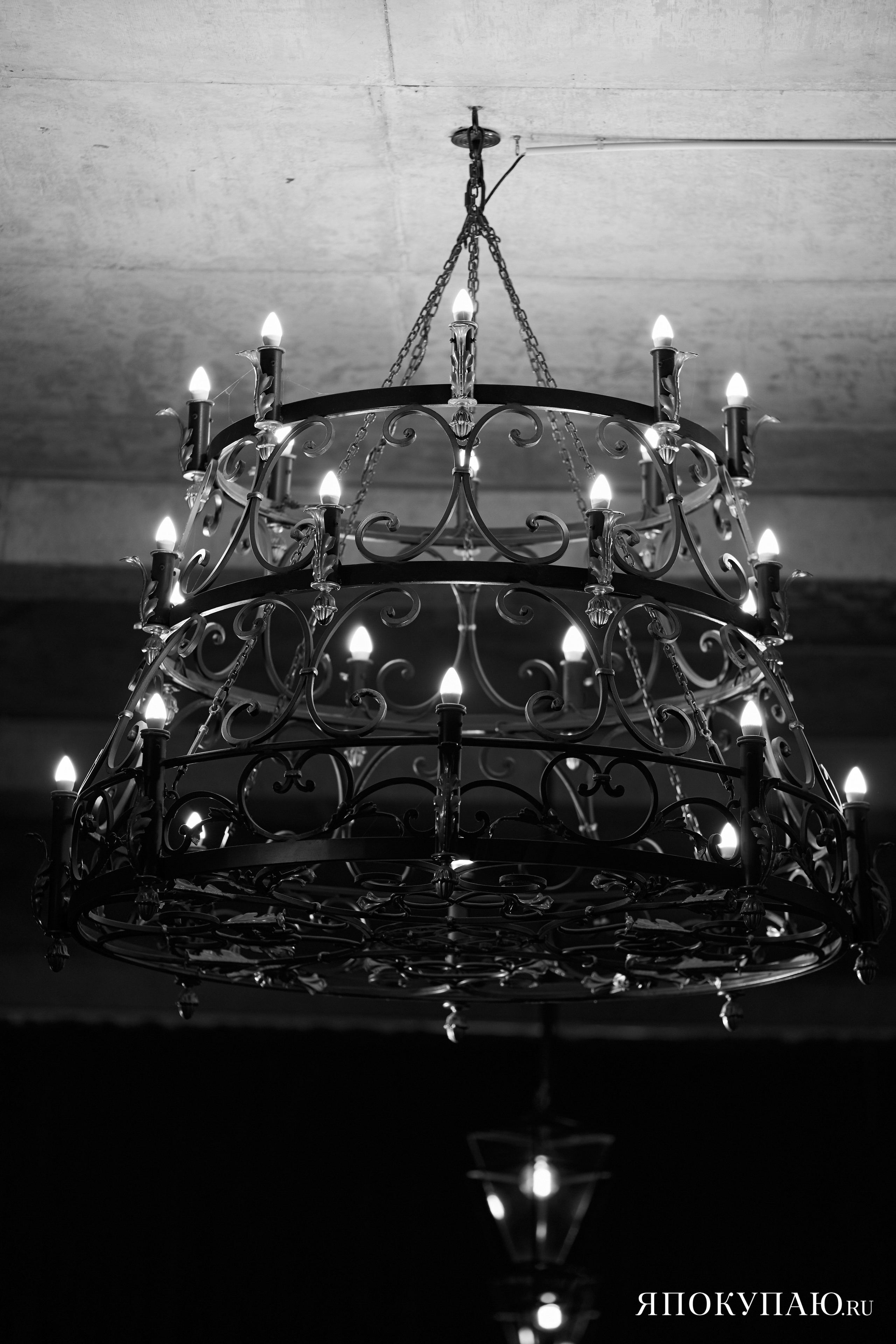 Я ПОКУПАЮ. Фотограф Айвазова Наталья Краснодар