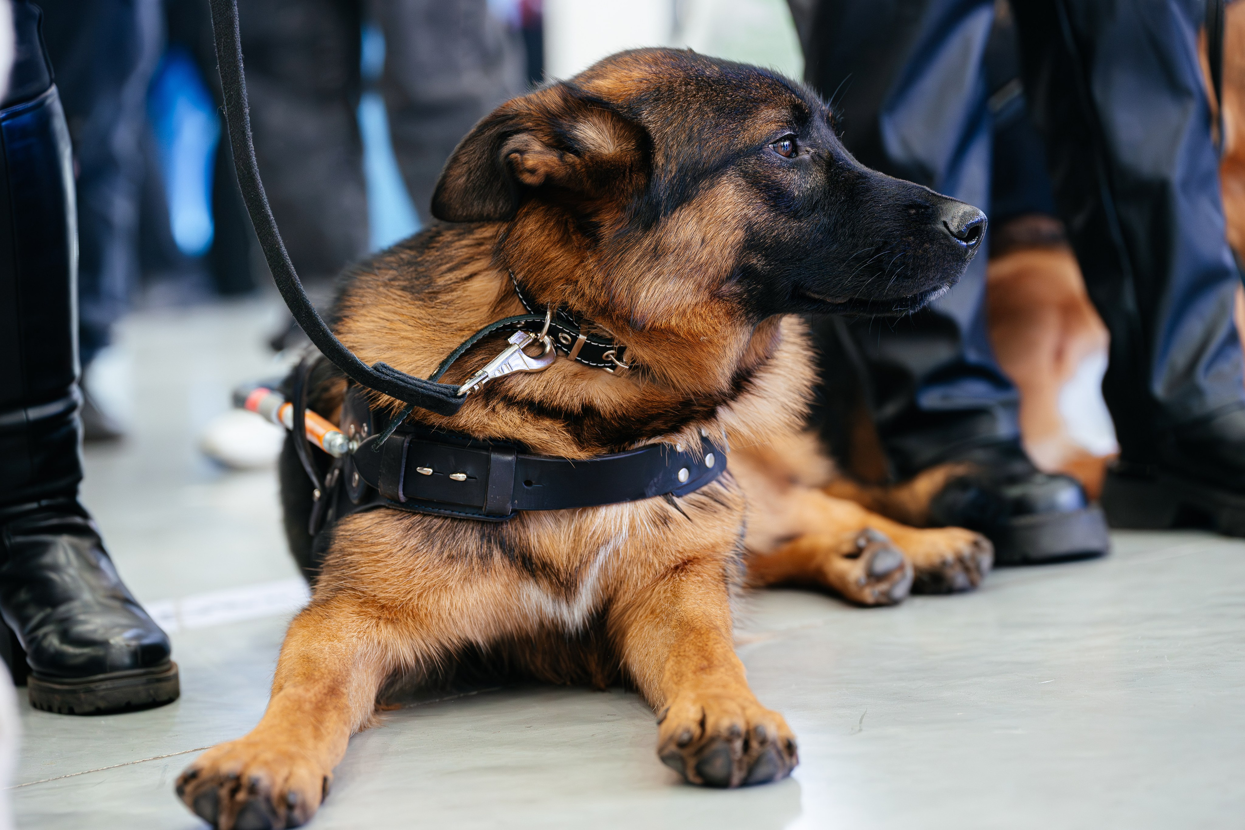 Абилимпикс 2025. Коммерческий фотограф в Санкт-Петербурге Анна Кобзарь