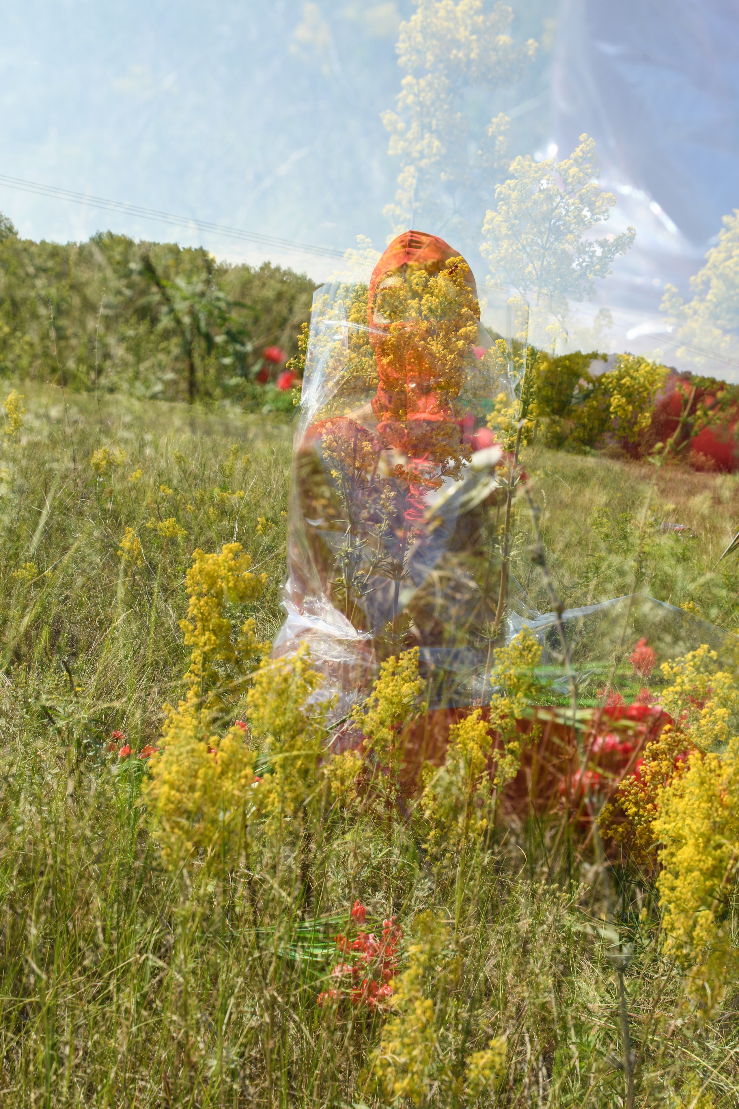 TERRA NOSTRA. Yulia Yurchevskaya | Art Director & Visual Visionary