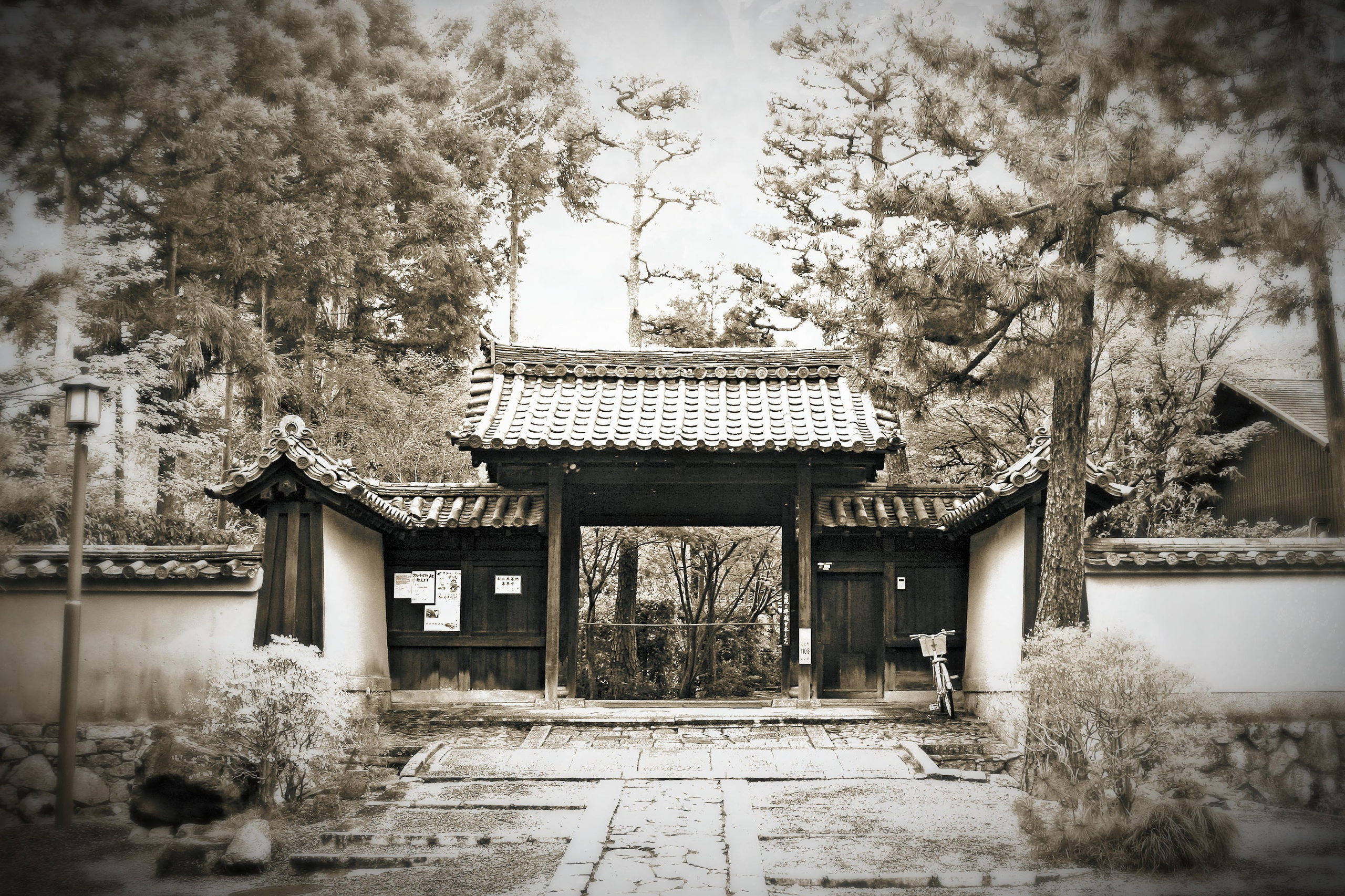 Япония. Фотография, ретушь, сканирование, восстановление старых фото, интерьерная съёмка, студия. Данилов Александр, Москва