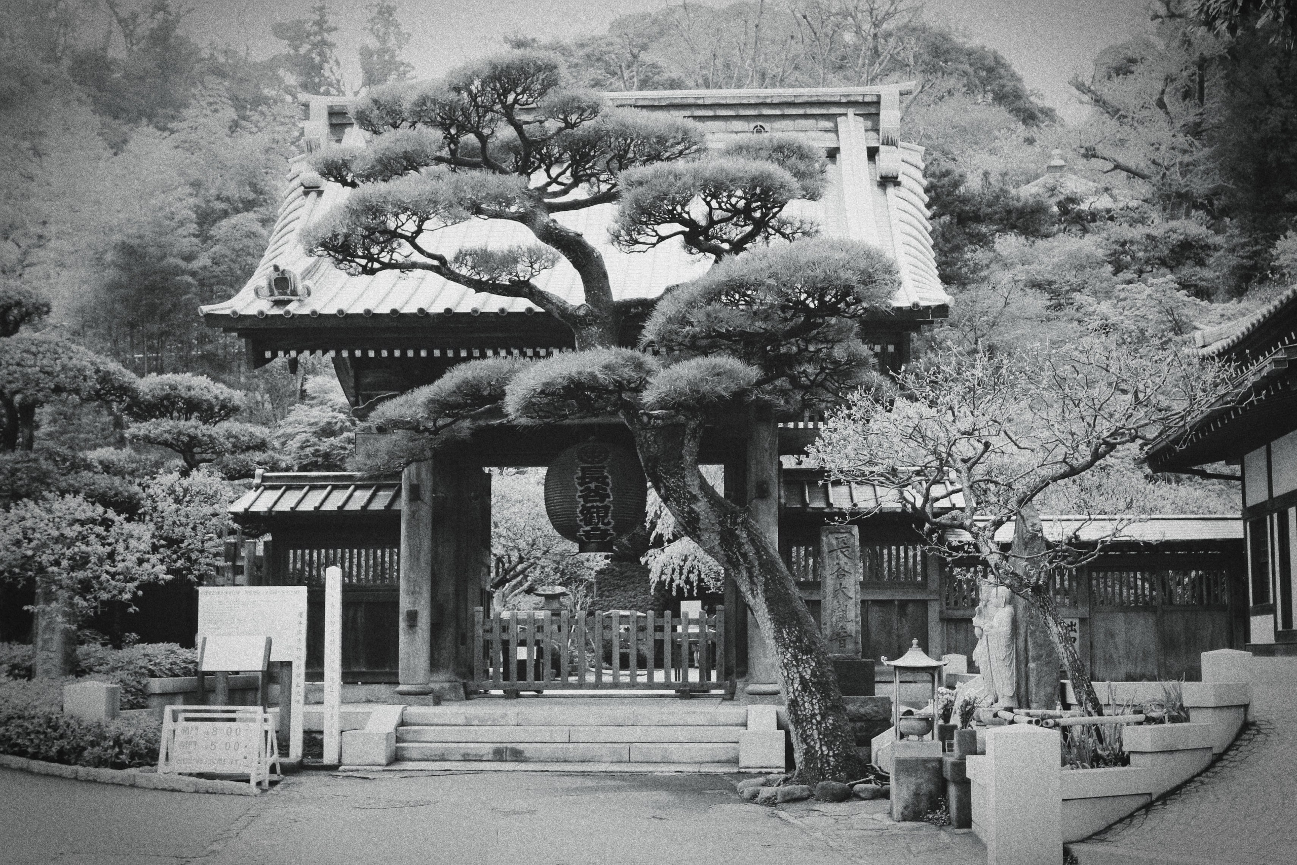 Япония. Фотография, ретушь, сканирование, восстановление старых фото, интерьерная съёмка, студия. Данилов Александр, Москва