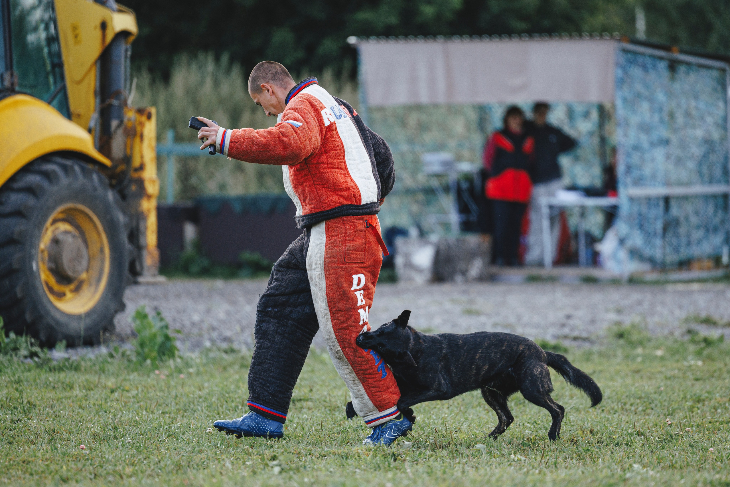 08.08.25-10.08.25 ЧР по мондьорингу г. Вологда. Фотограф-анималист Анна Маринич