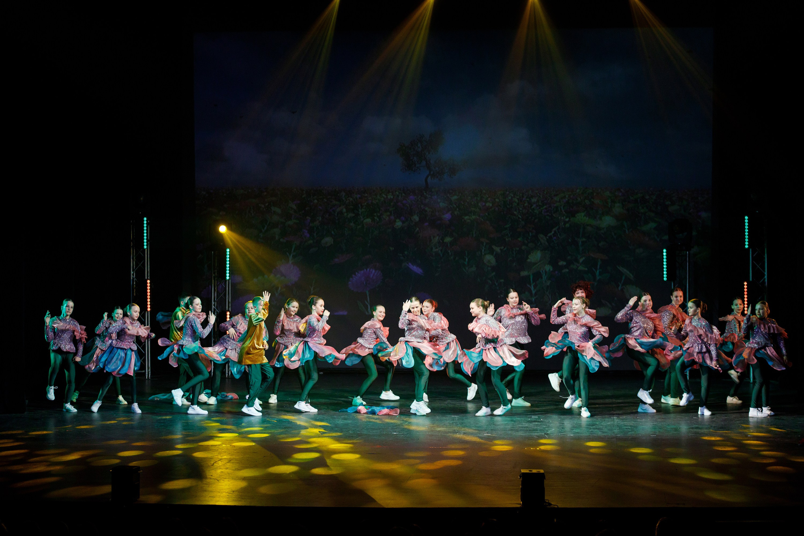 Отчётный концерт TODES Пермь. Фотограф Дмитрий Молчанов | Фотограф Пермь | Фотограф