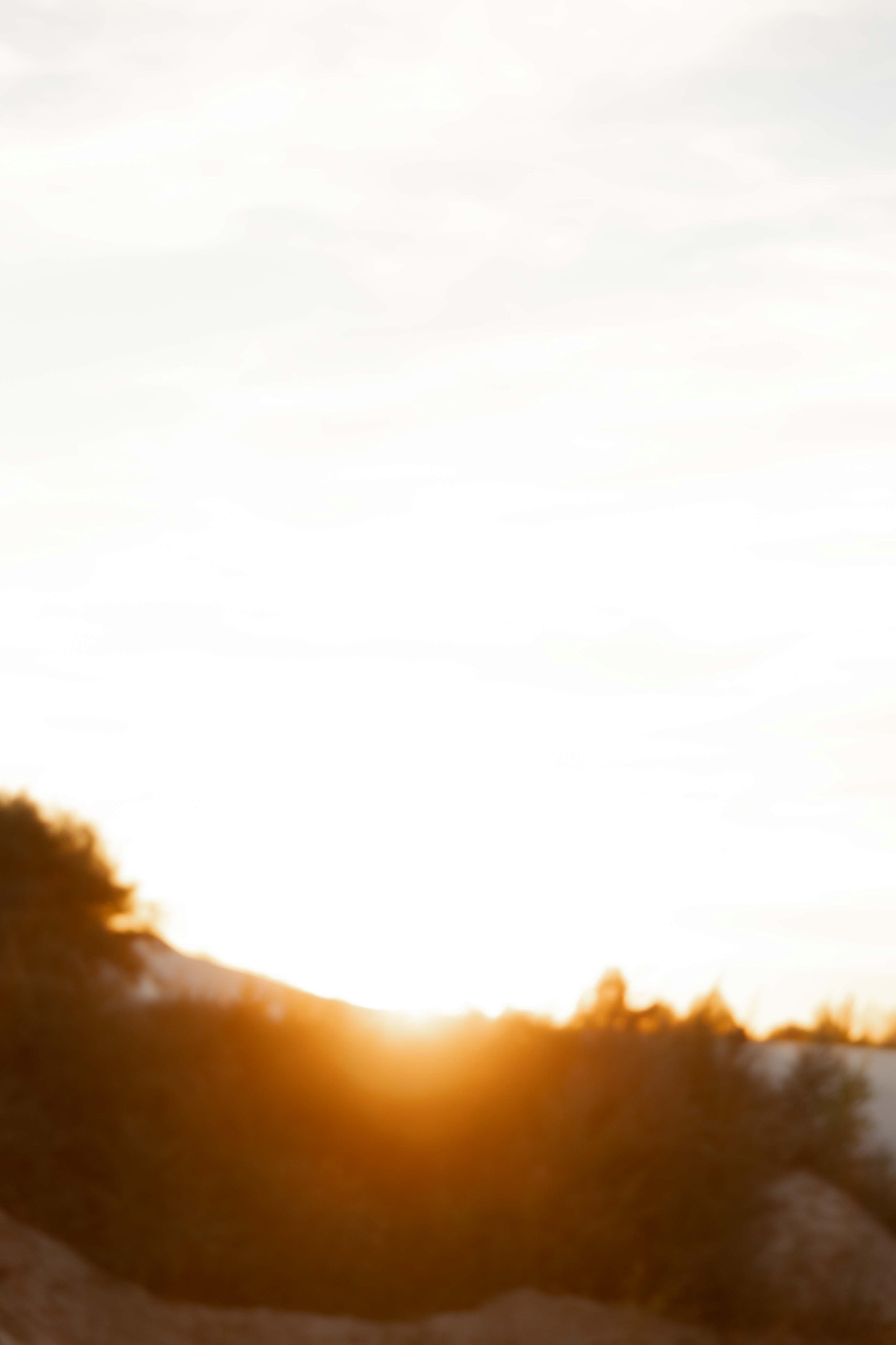 Олеся и Егор. Я Ира и я фотографирую свадьбы более 10 лет