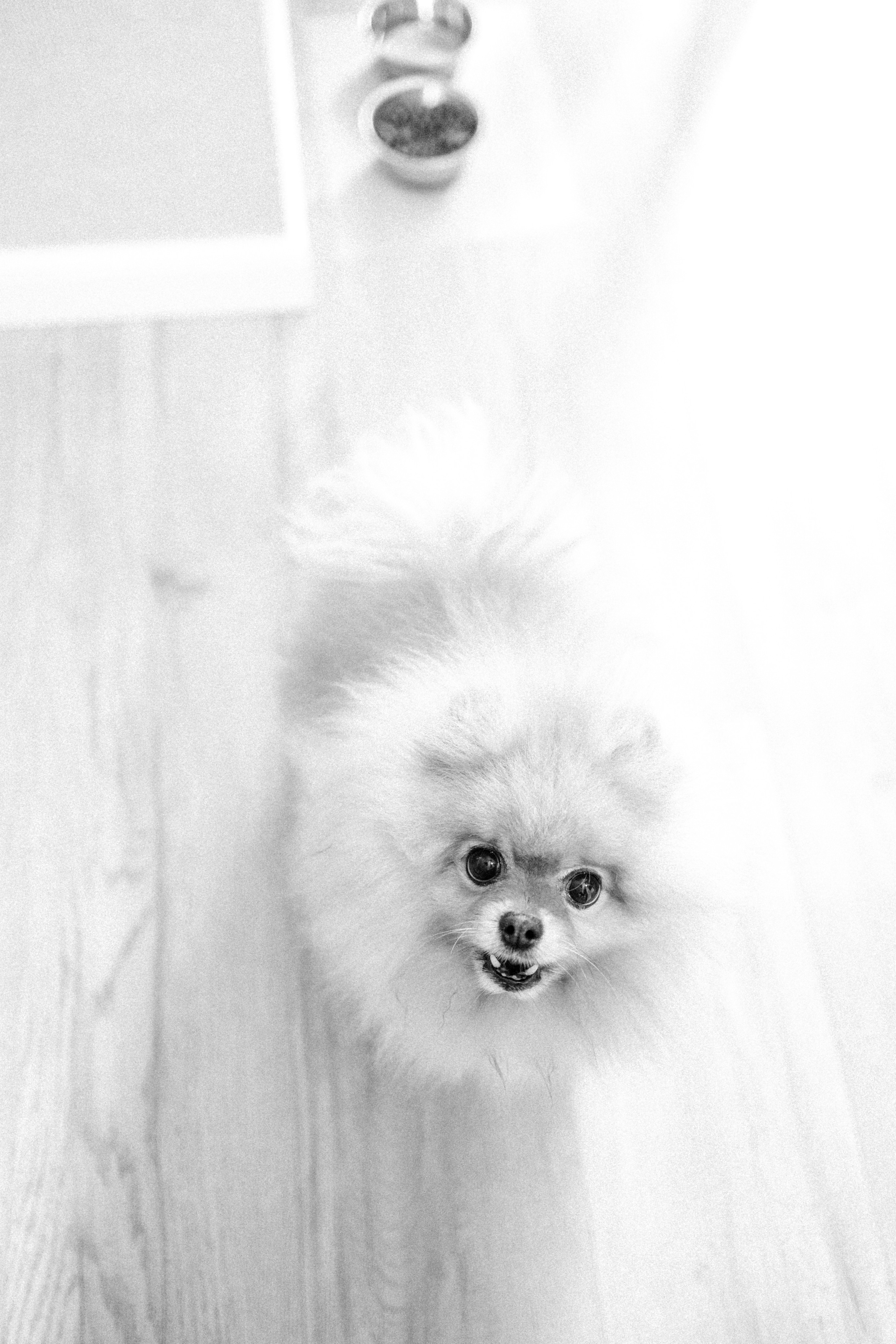 Гоша + Ирина II. Фотограф в Туле Павел Парахин