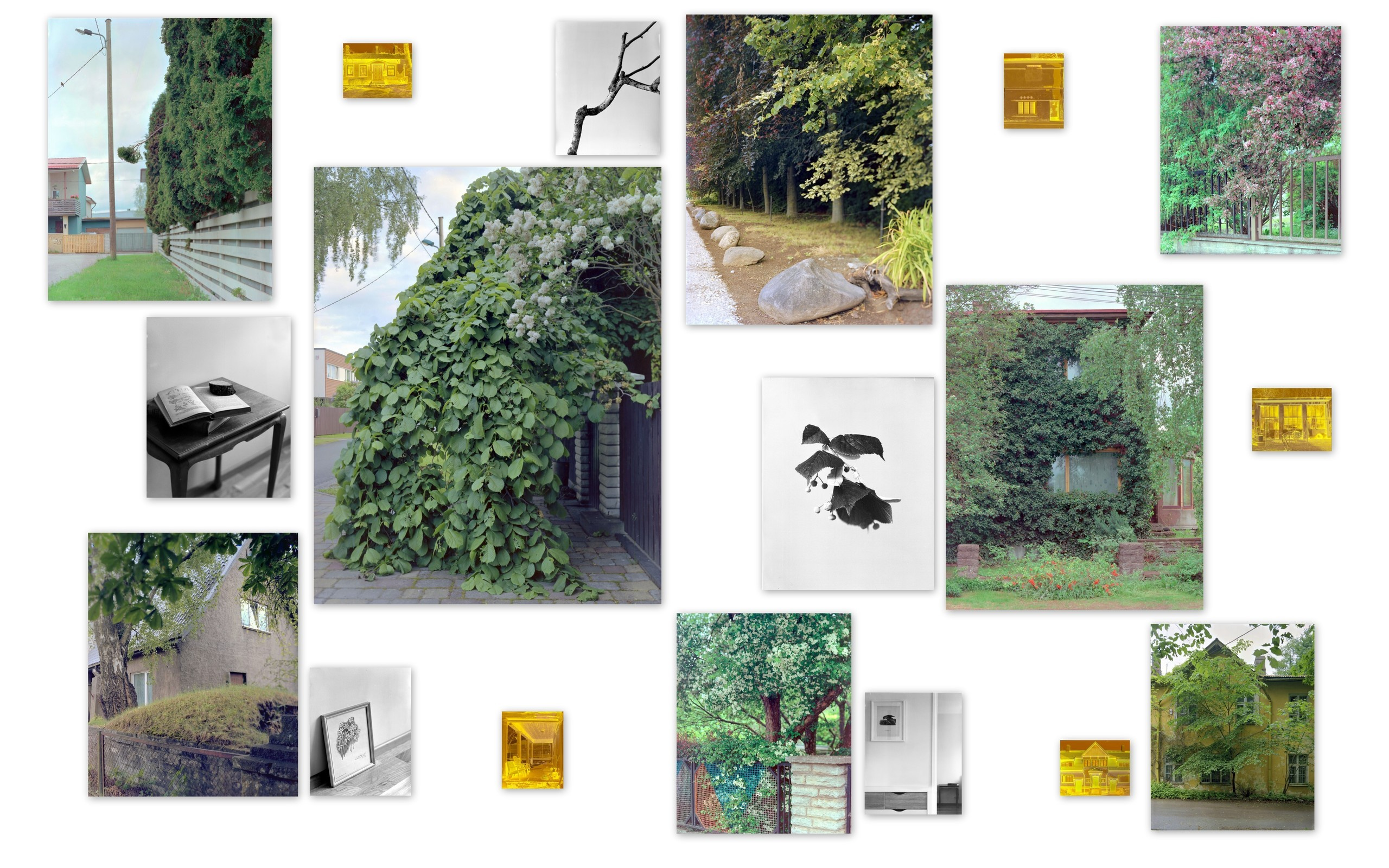 Онлайн-выставка ''Невидимые города''. Екатерина Васильева художник, куратор и преподаватель