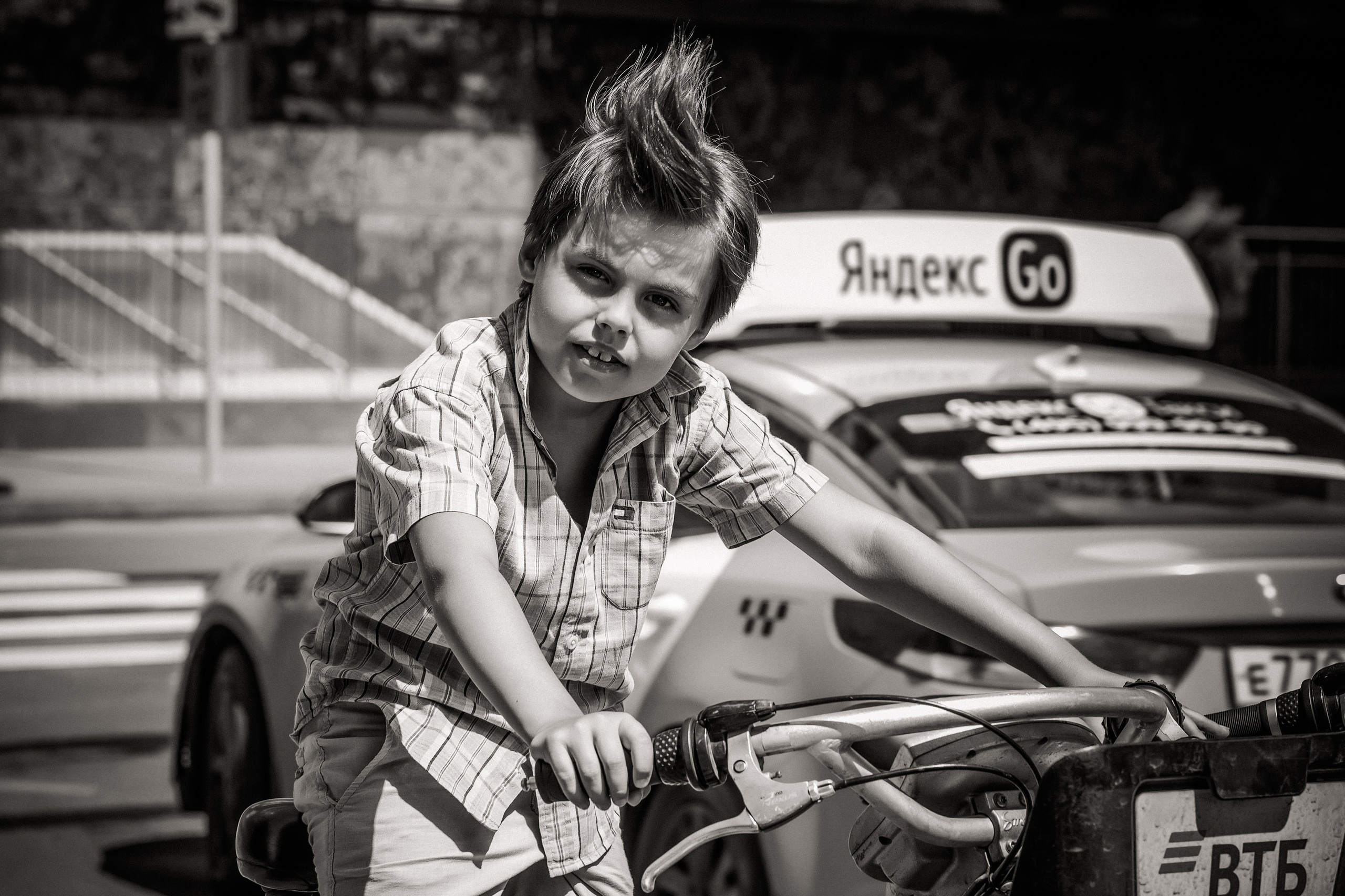 Лев. Свадебный и семейный фотограф в Москве и Подмосковье Лариса Козлова