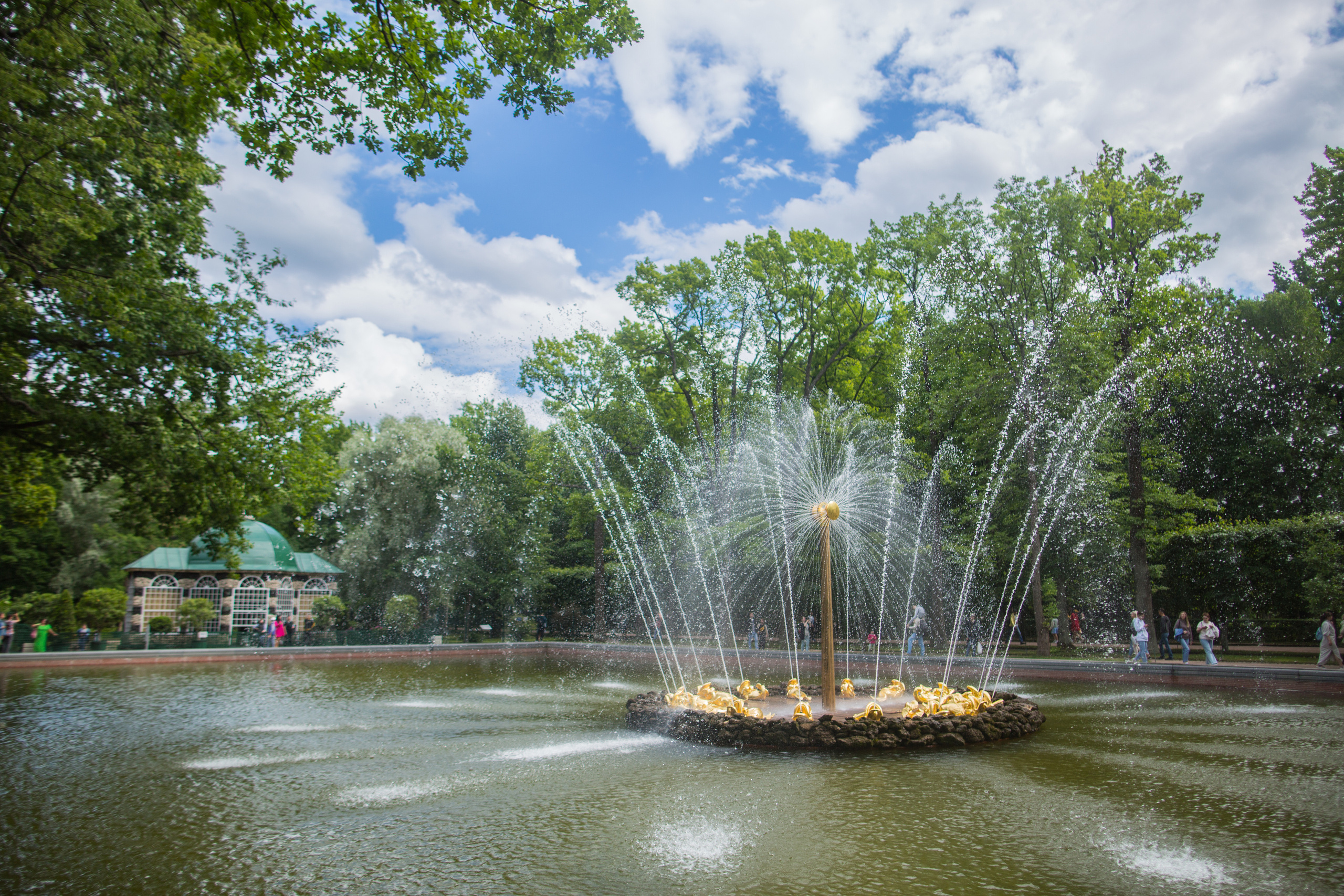 Петергоф. Фотограф в г. Сургуте Марина Киприна