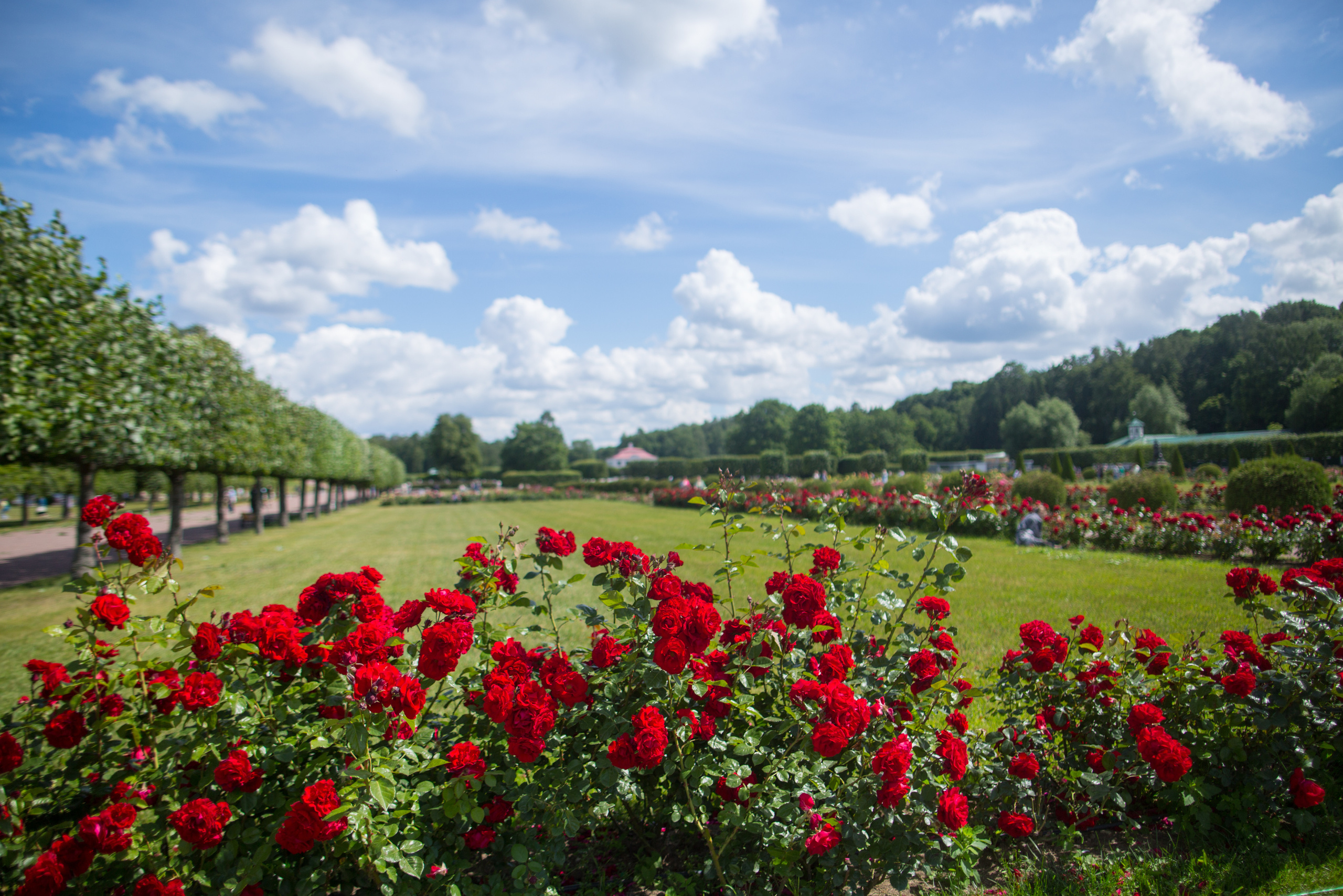 Петергоф. Фотограф в г. Сургуте Марина Киприна