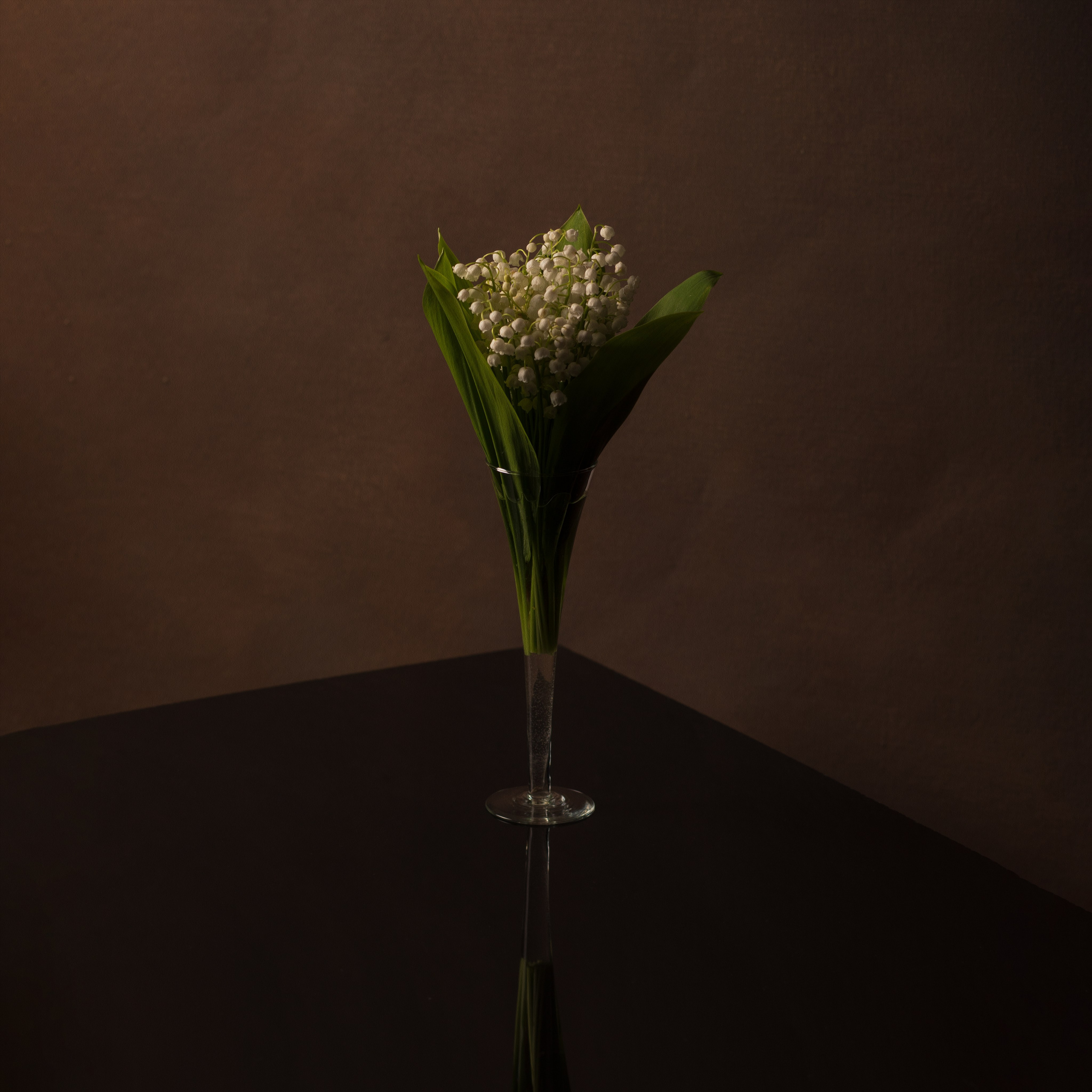 Натюрморты. Файн-Арт фотограф из Перми Вараксина Юлия