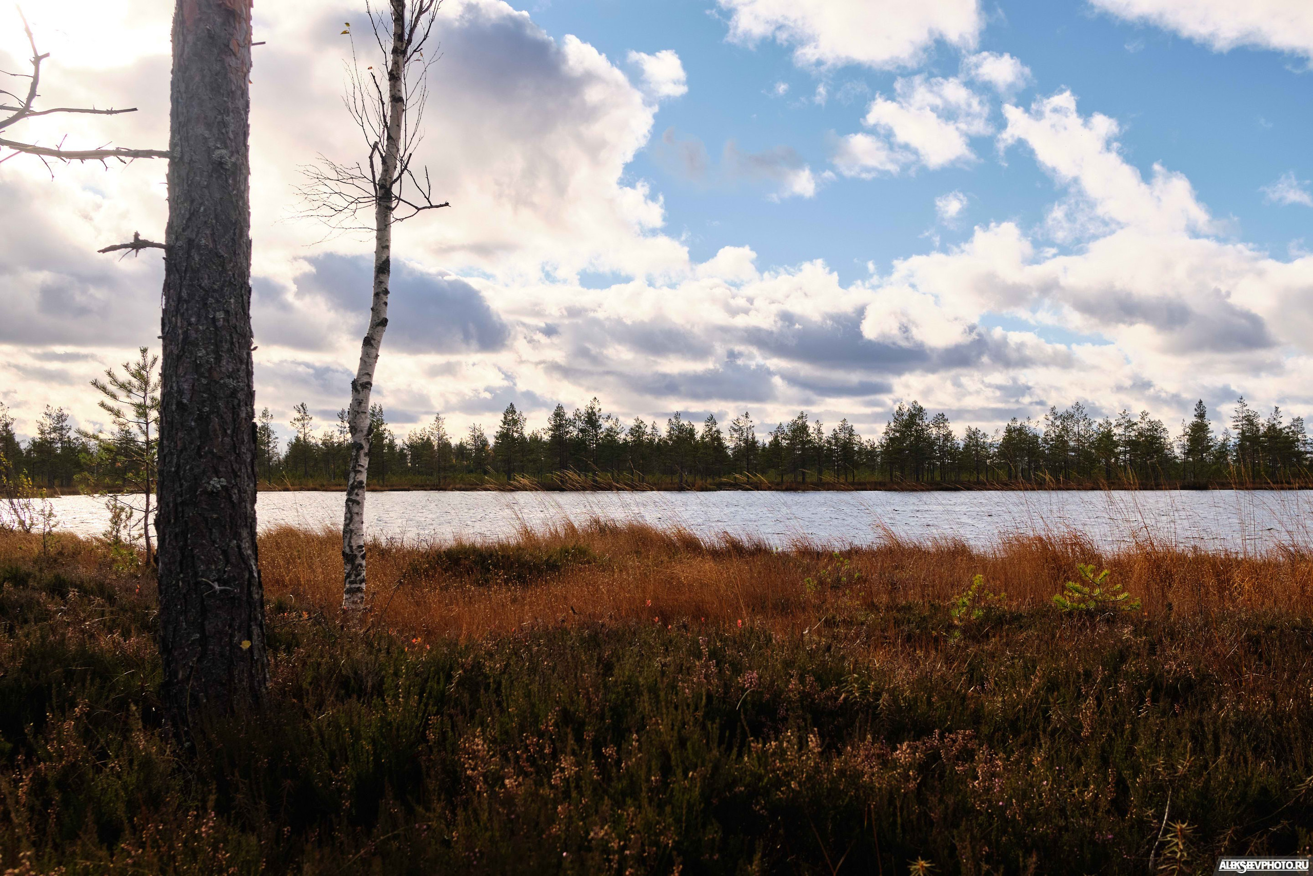 2021.10.17 — Финал чемпионата СЗФО по трофи-рейдам — 1 день. Фотограф Алексей Алексеев