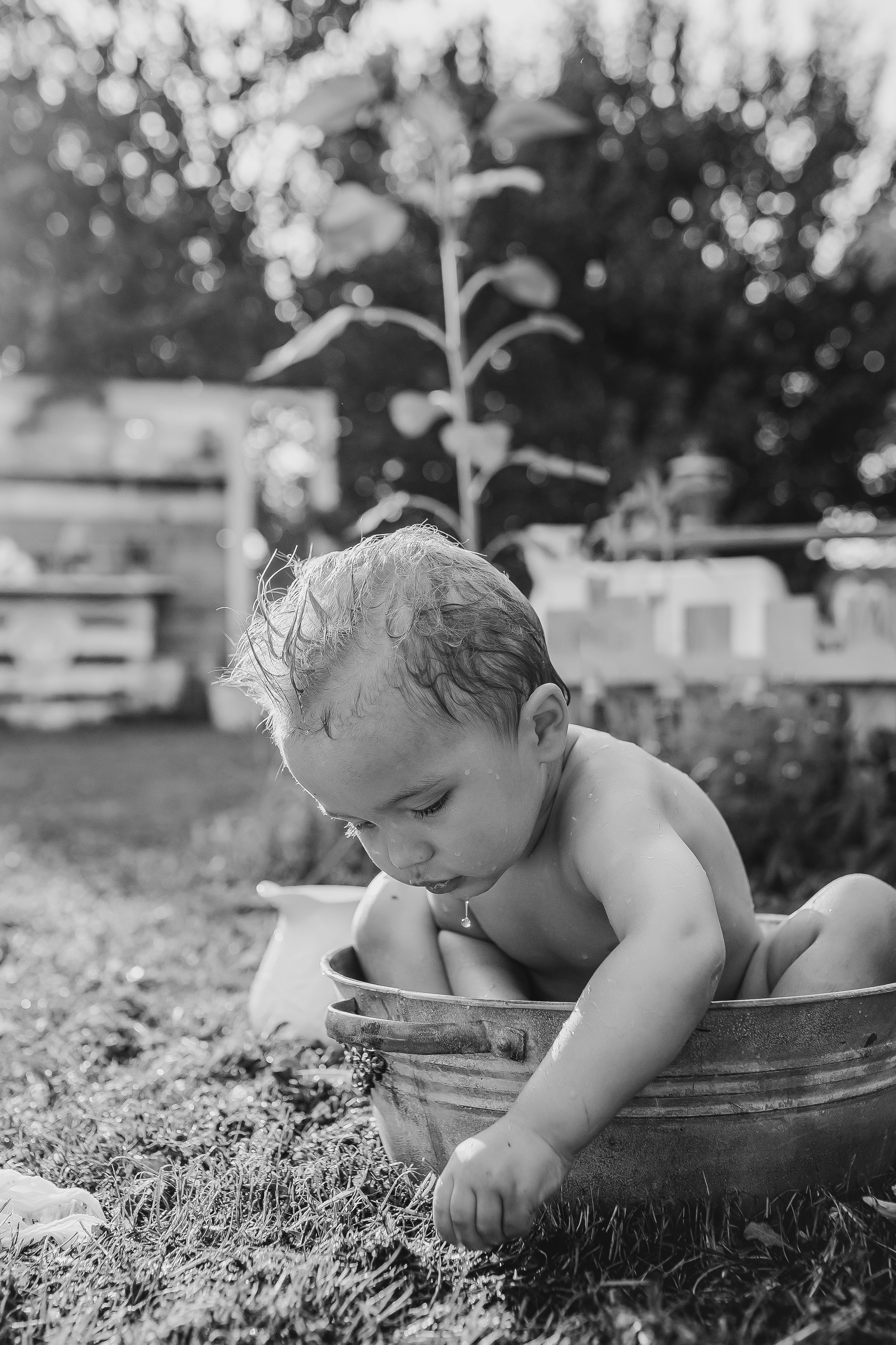 Регина и Лев. Свадебный и семейный фотограф в Белгороде Юлия Першина
