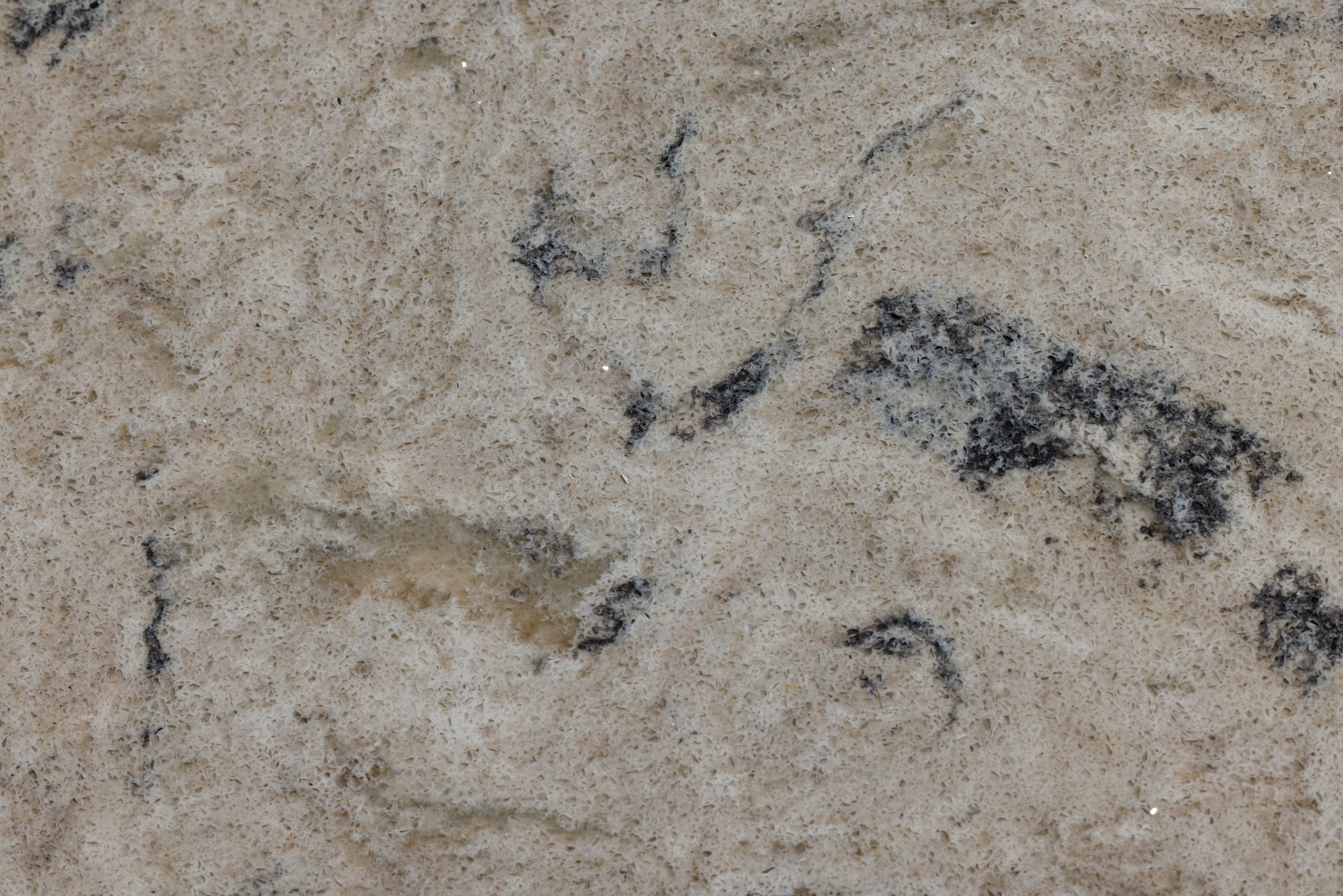 Макро съемка. Фотограф Балаев Михаил