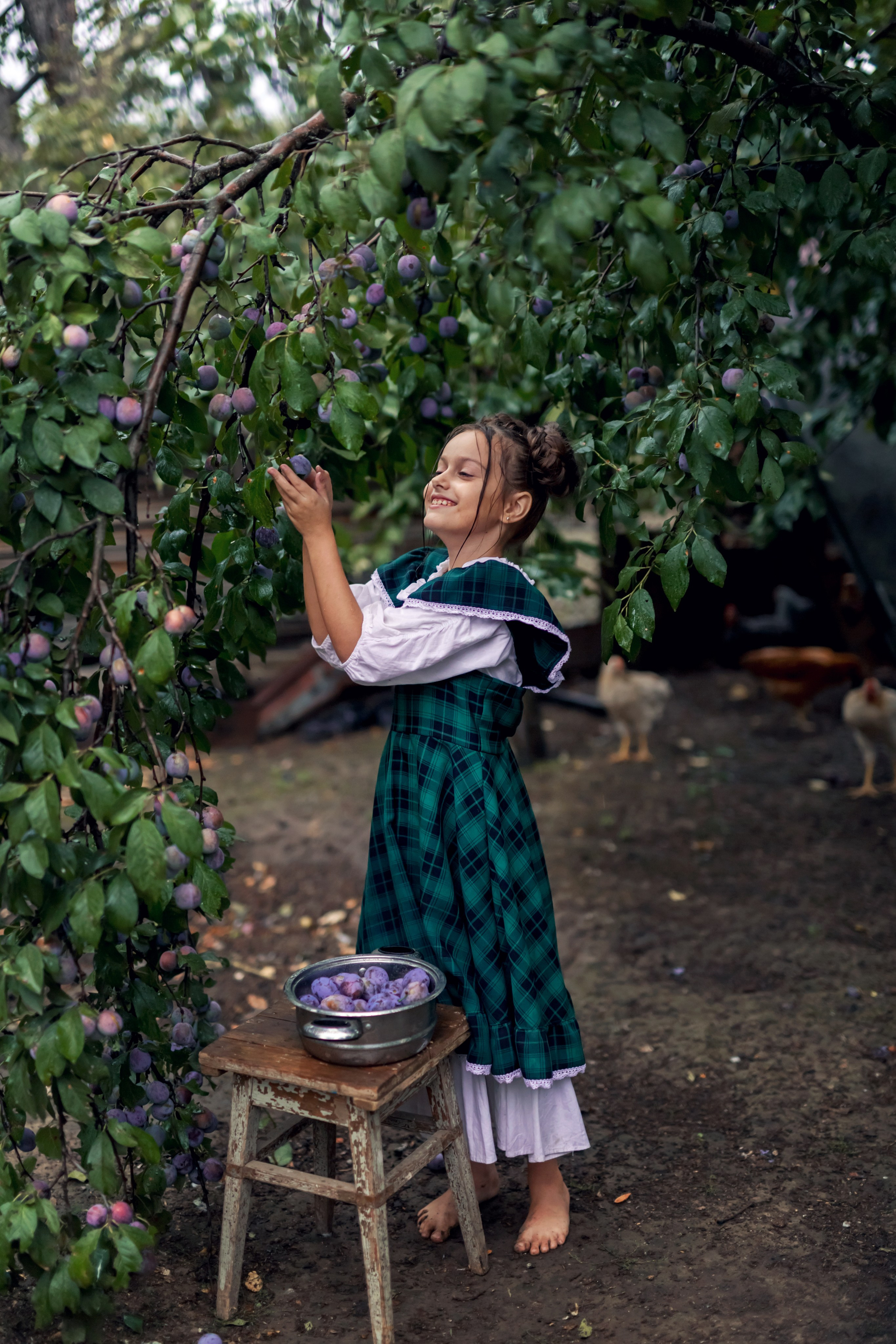 Сливовая история. Семейный и детский фотограф Екатерина Савёлова
