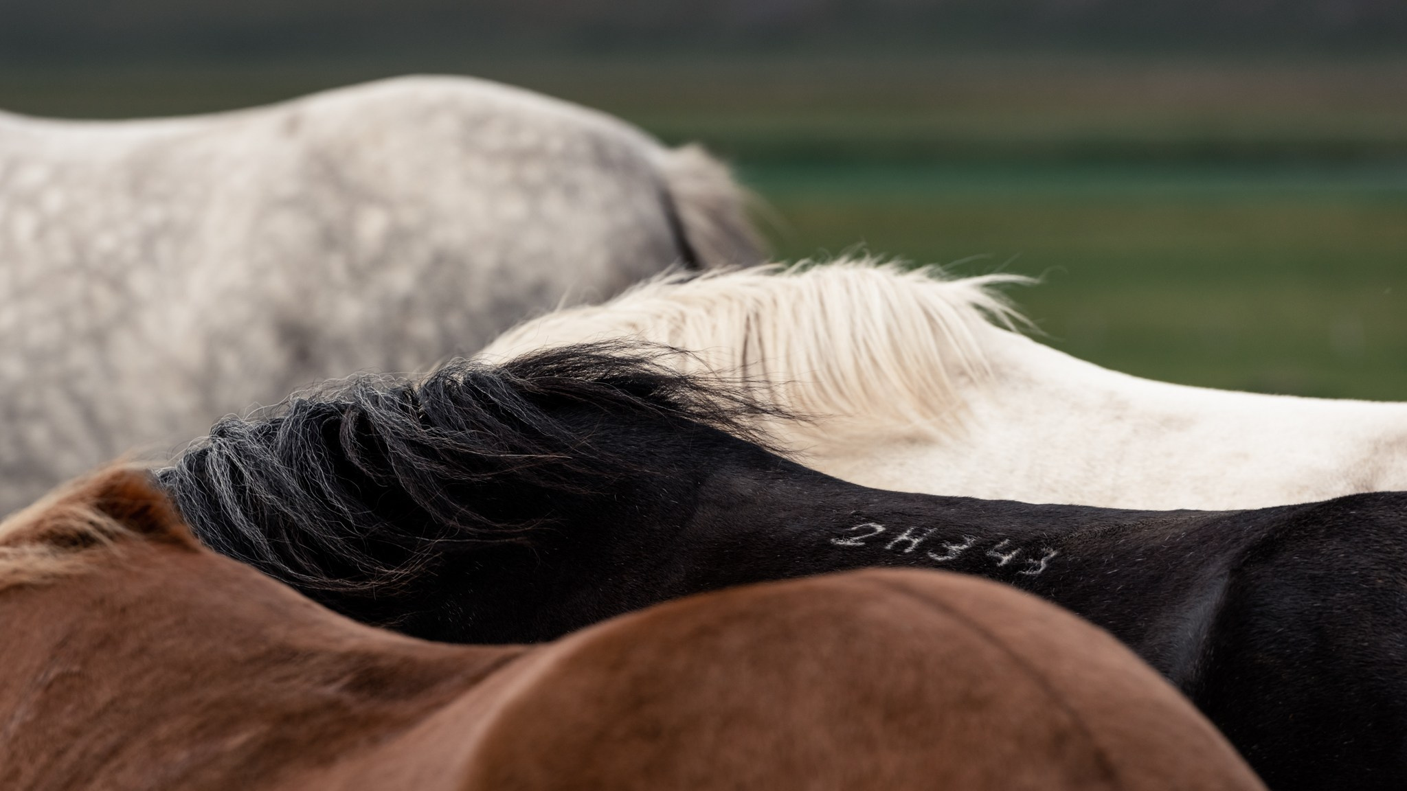 NATURE. Sailing Photographer Marina Semenova