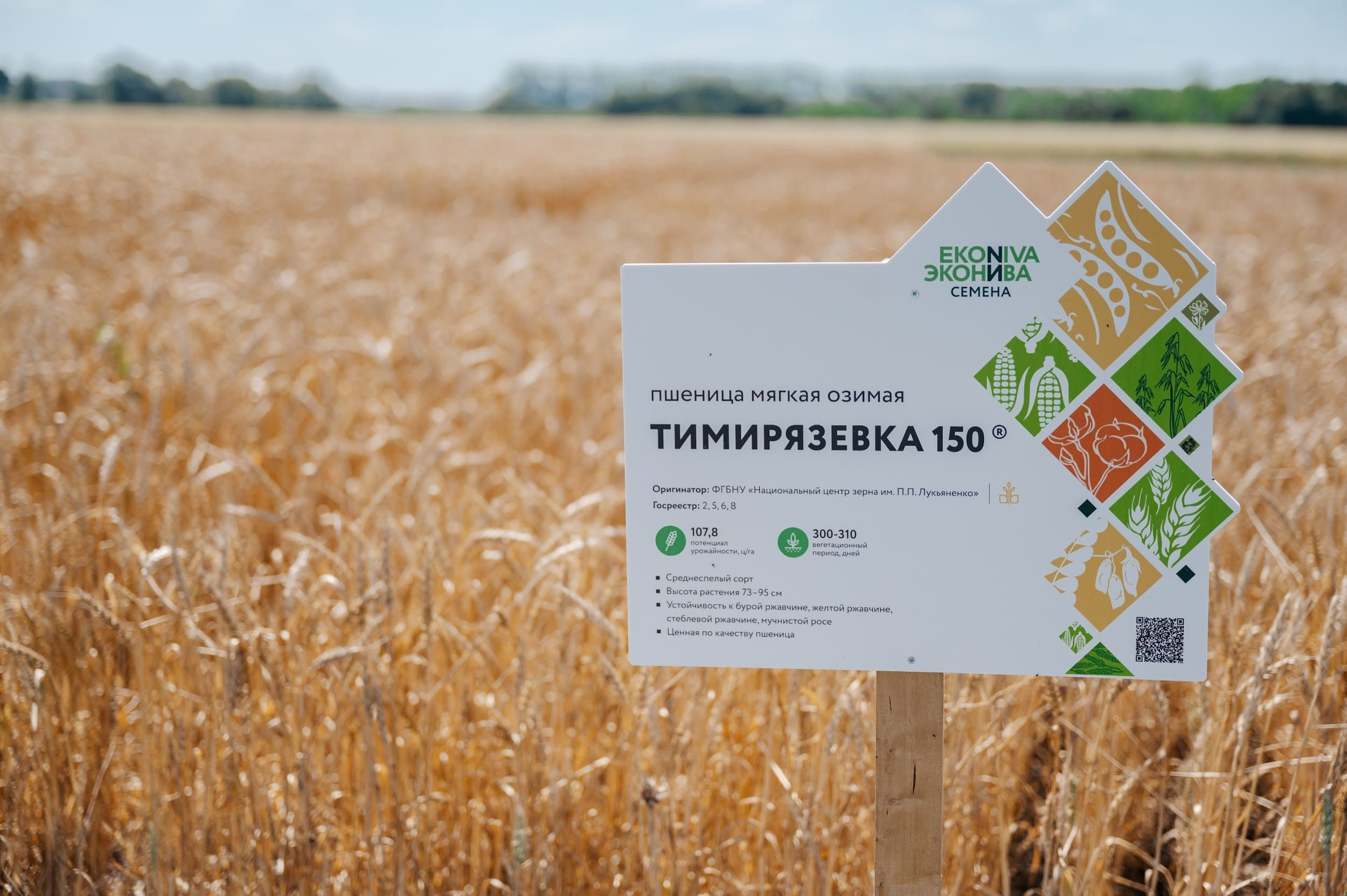 ЭКОНИВА. Владимир Дьяконов — Индустриальный и репортажной фотограф в России