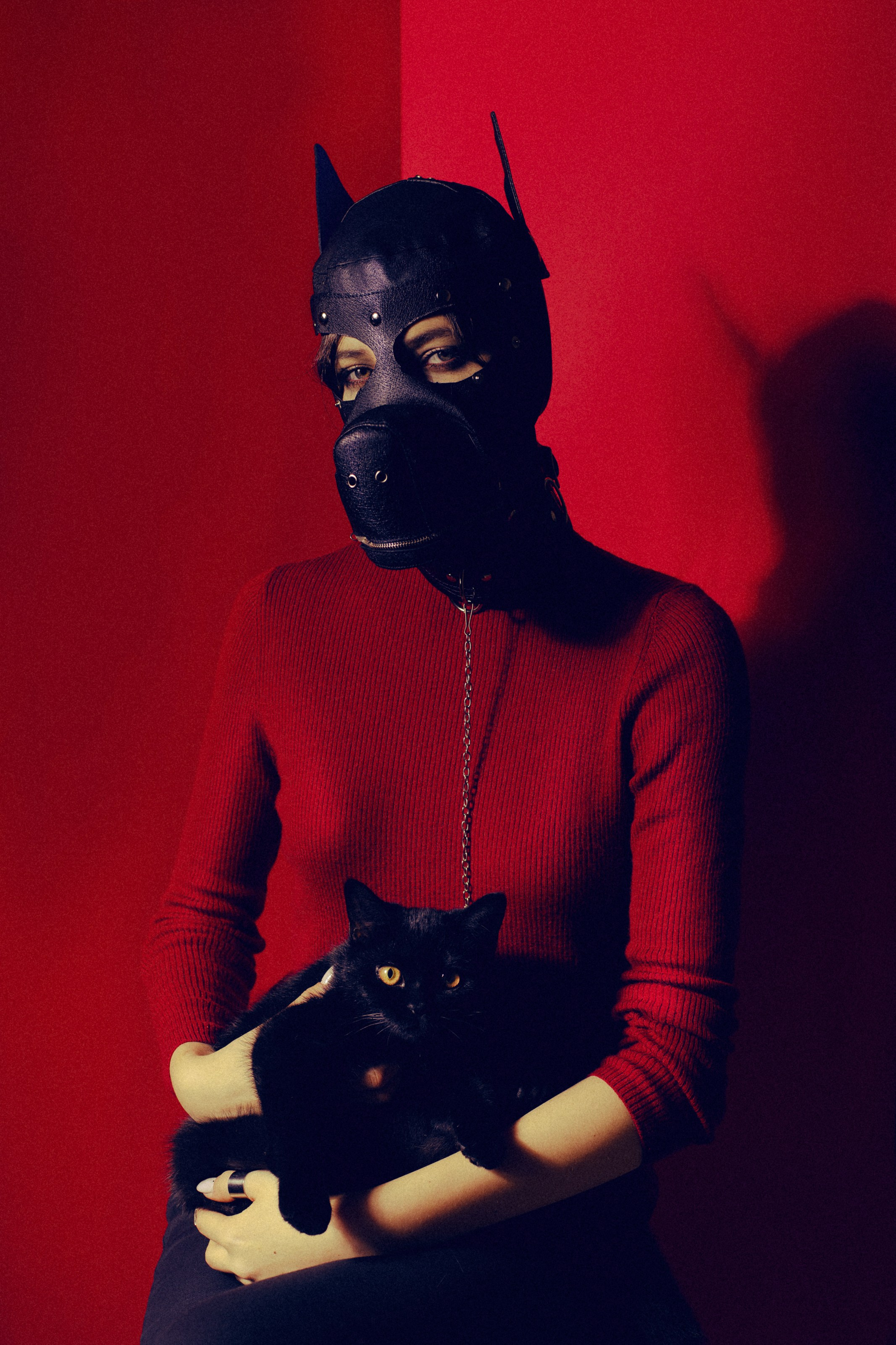 Our hobbies. Photographer in Tokyo Anatolii Ozarto