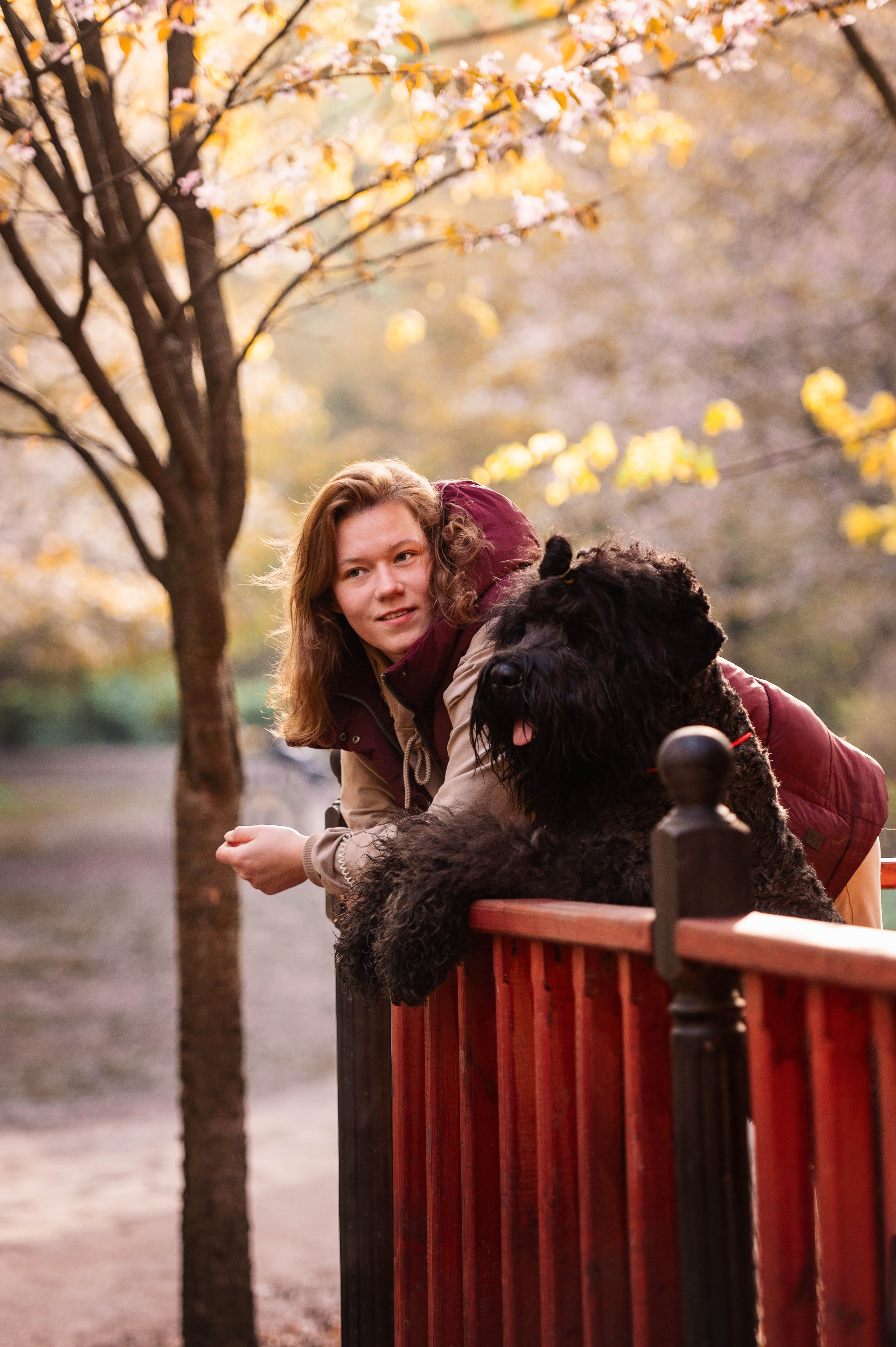 Черныши, сакура и краски холи. Фотограф-анималист