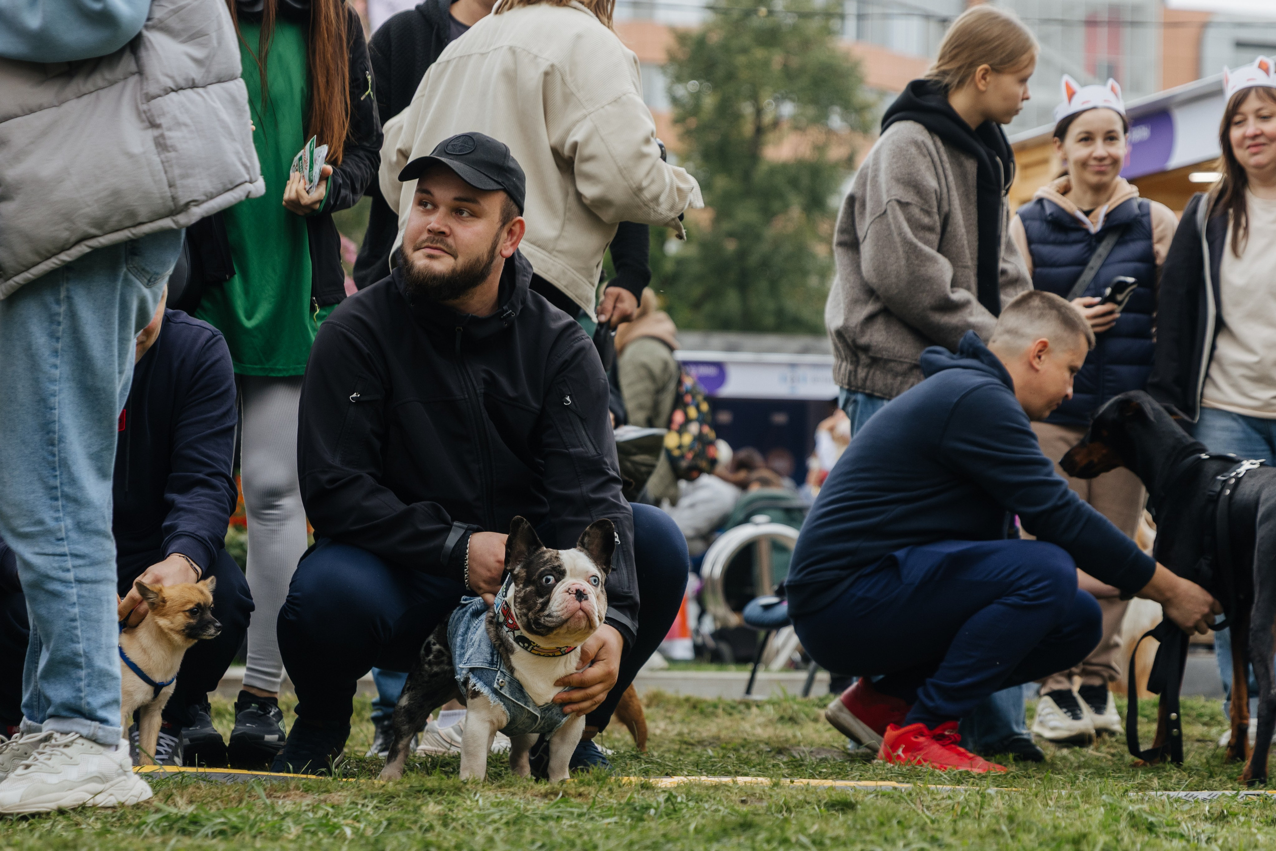 Хвостатый репортаж. Аксана Лисовская фотограф в Москве. Фотографии с характером