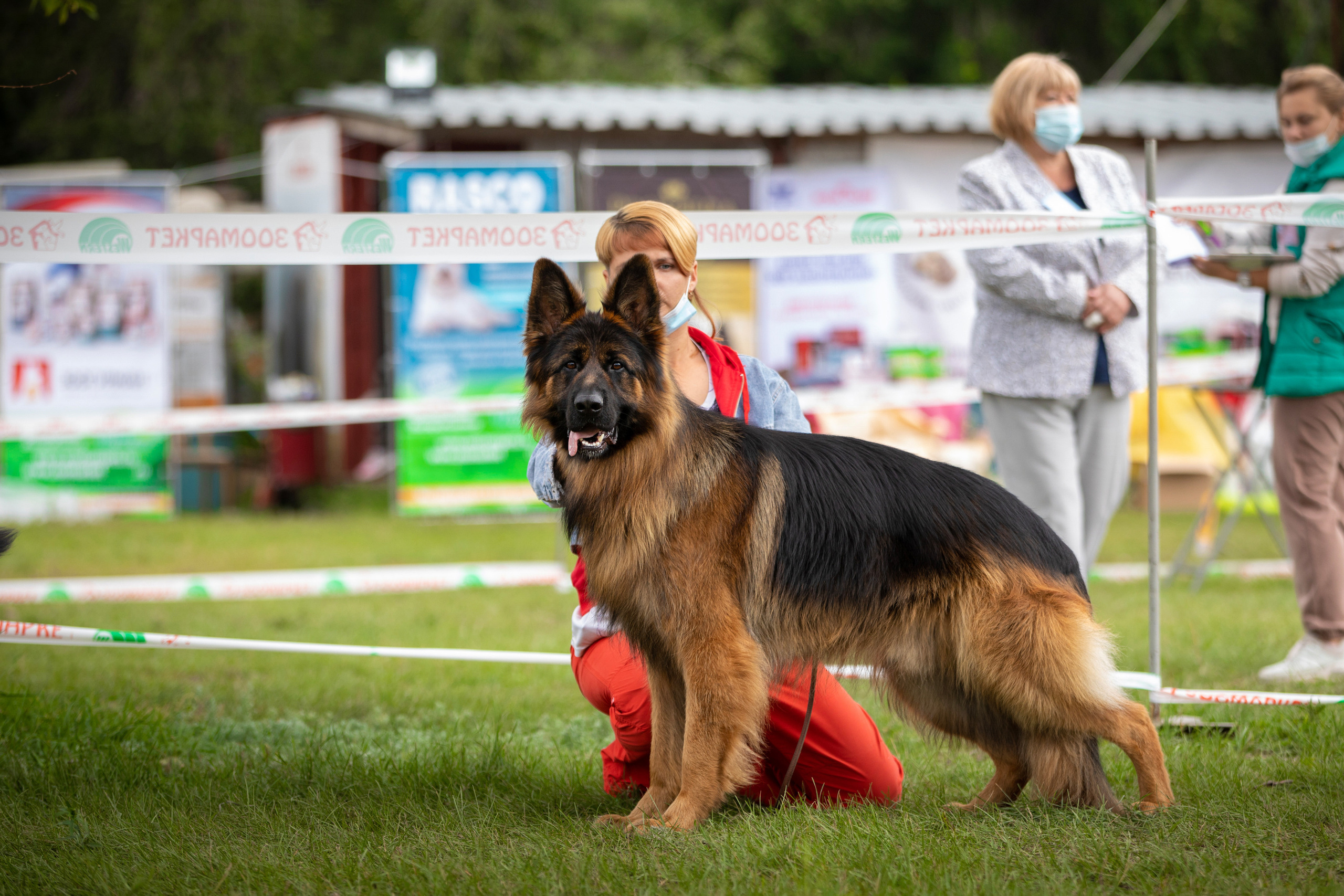 2.08.2020 — Магнитогорск. Фотограф-анималист Саша Вязьмина