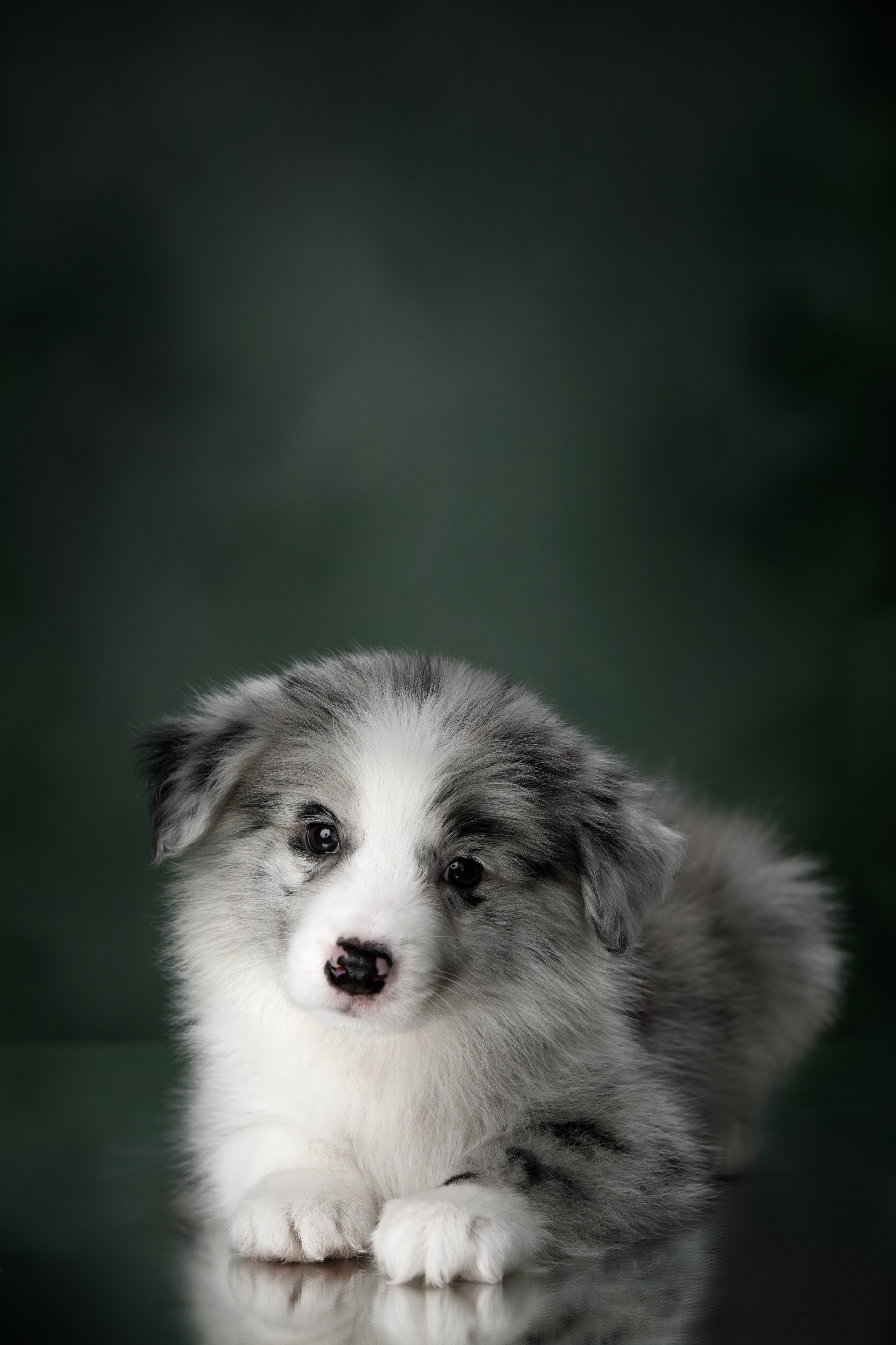 BABY TIME. Фотограф-анималист Саша Вязьмина