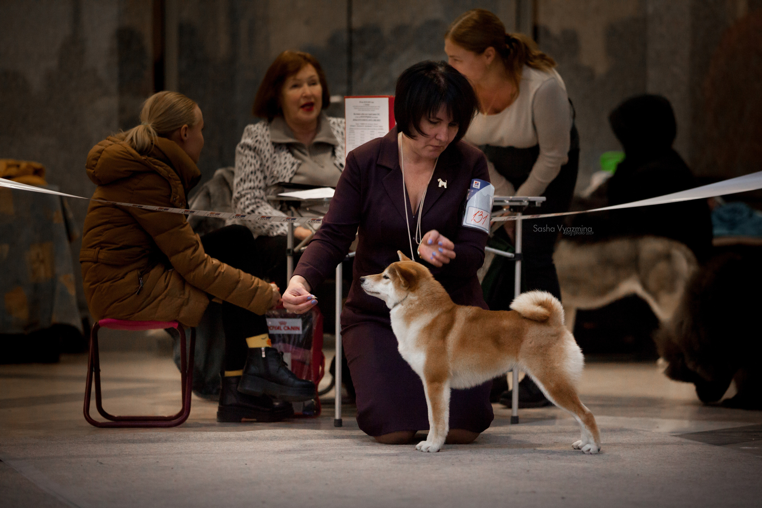 24.11.2019 — Самара. Фотограф-анималист Саша Вязьмина