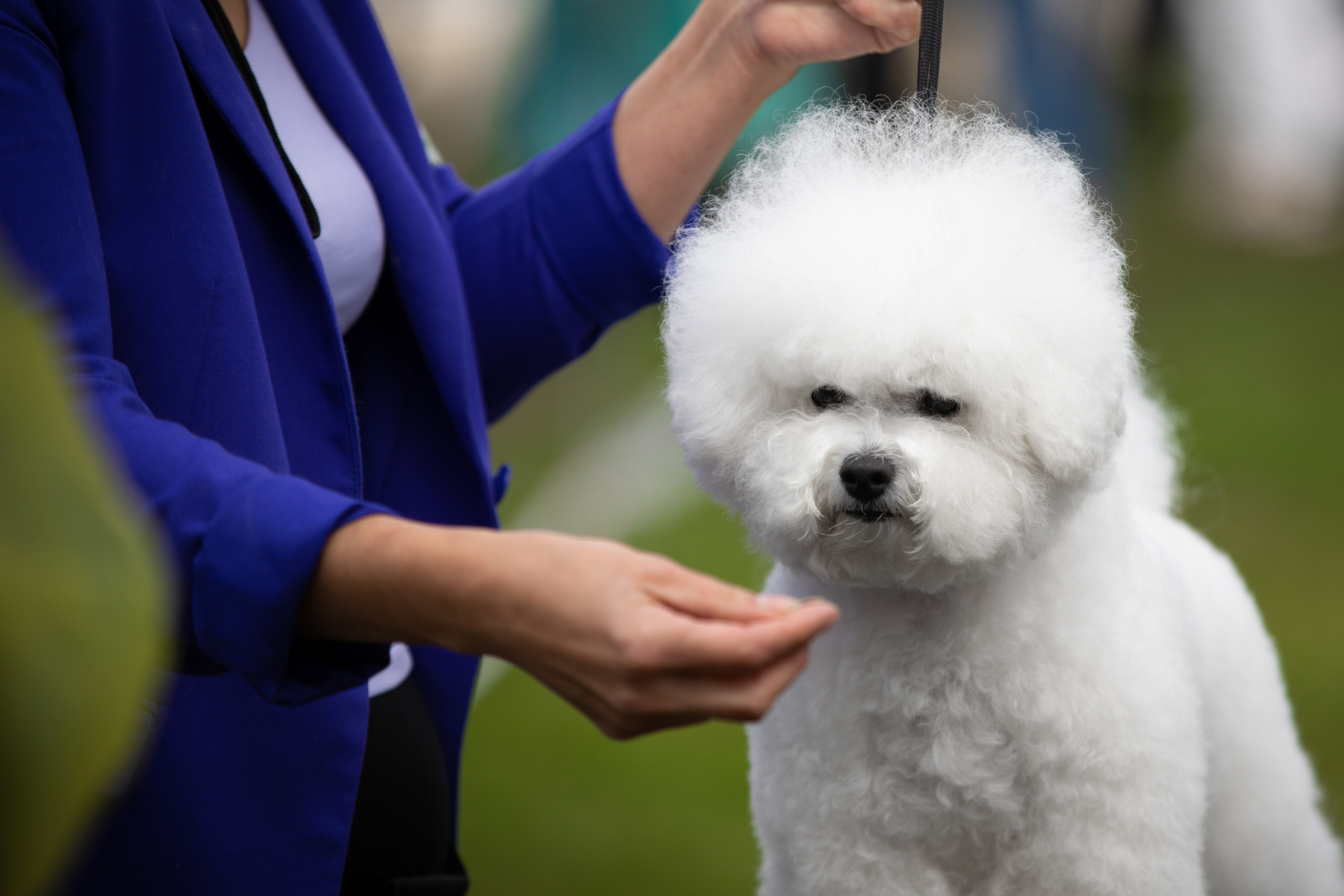 2.08.2020 — Магнитогорск. Фотограф-анималист Саша Вязьмина