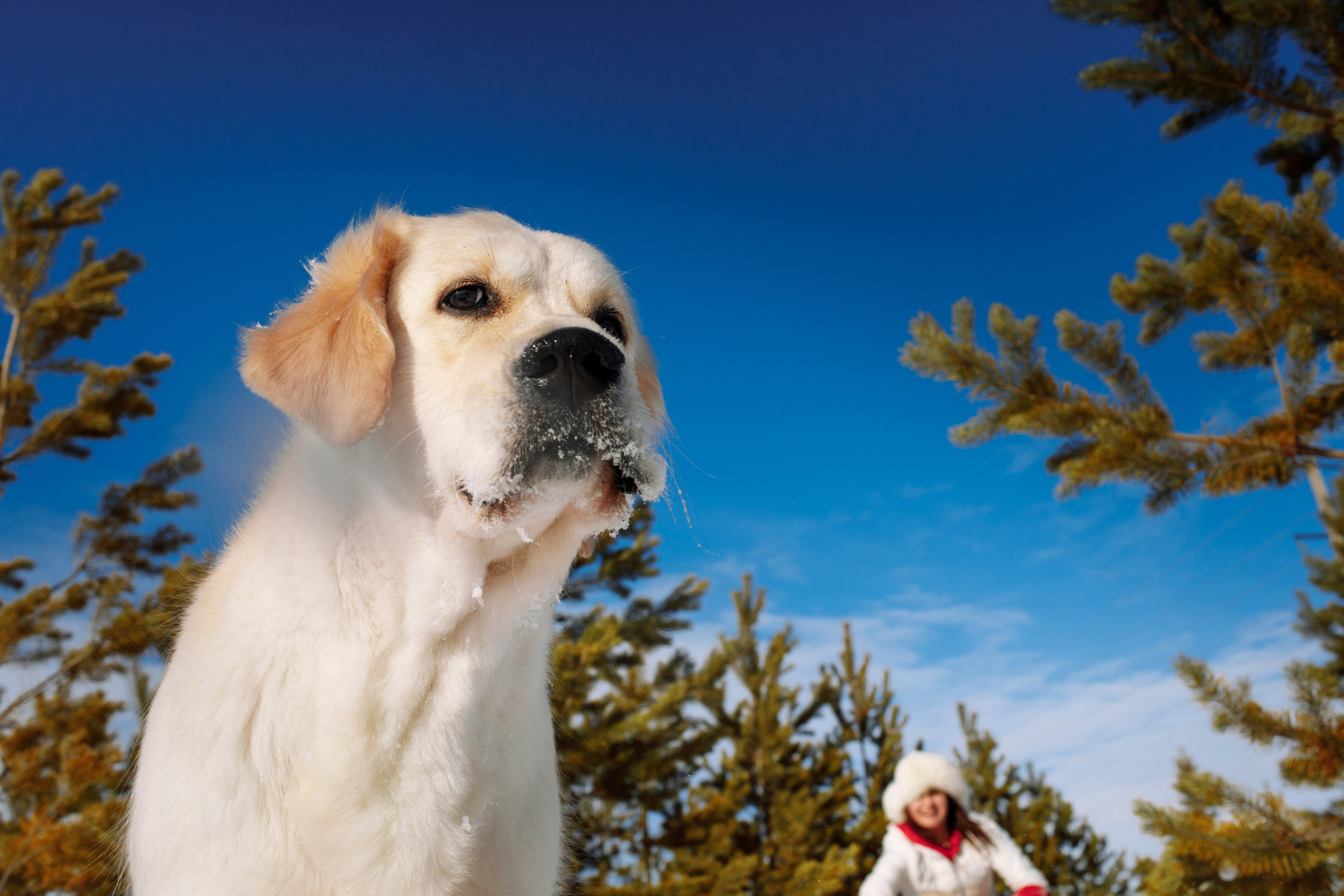 Фотограф-анималист Саша Вязьмина