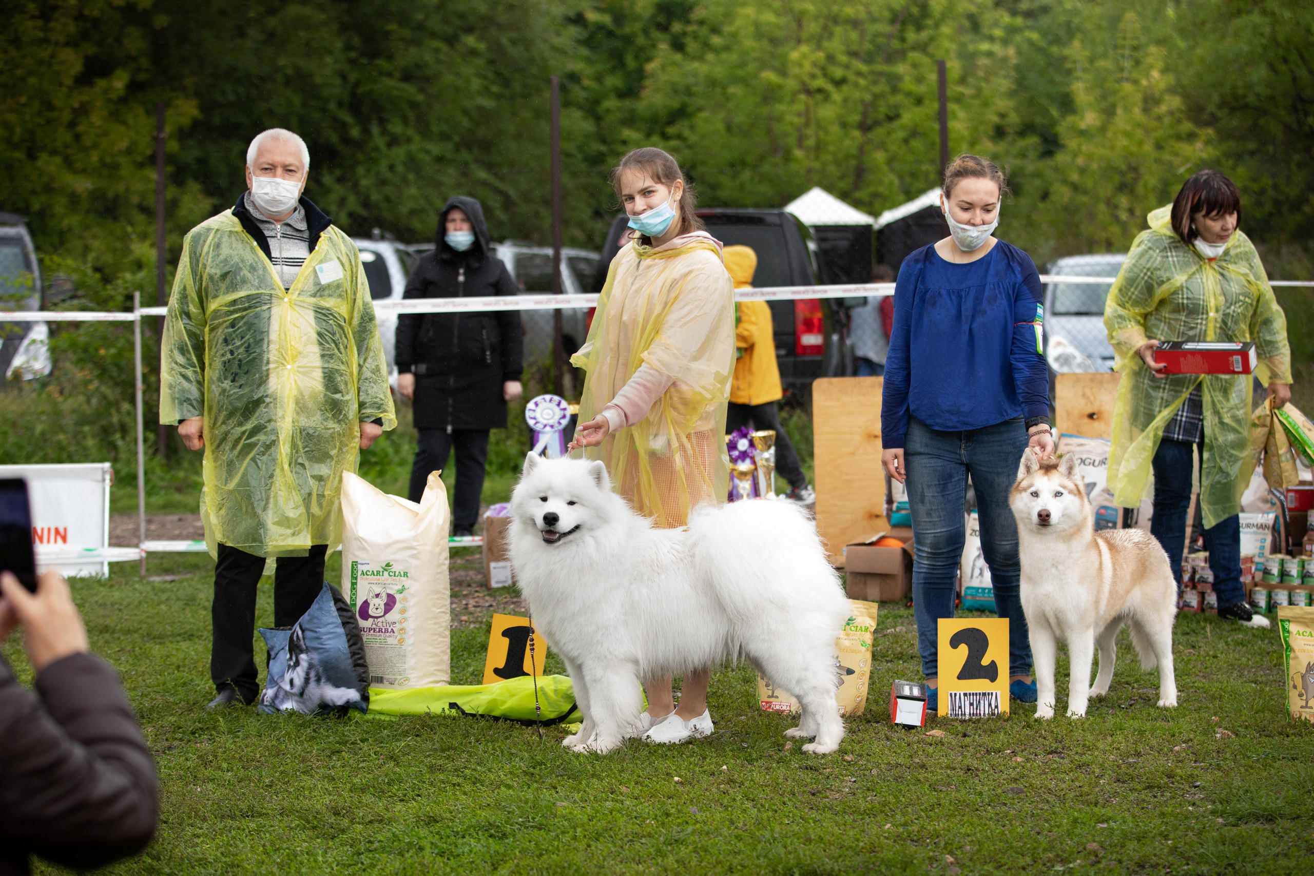 самоед лучшая собака выставки монопородная выставка сес северных ездовых собак Магнитогорск 