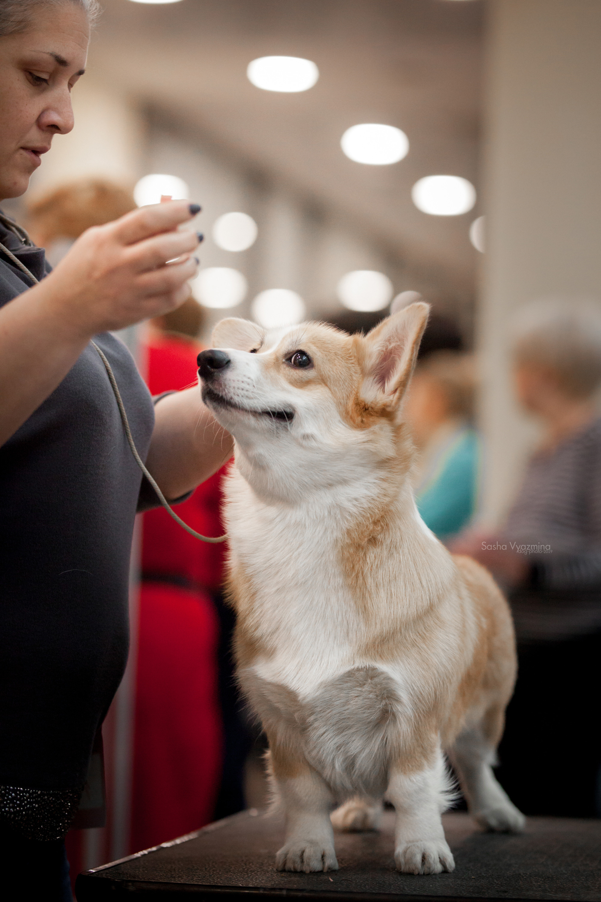 24.11.2019 — Самара. Фотограф-анималист Саша Вязьмина