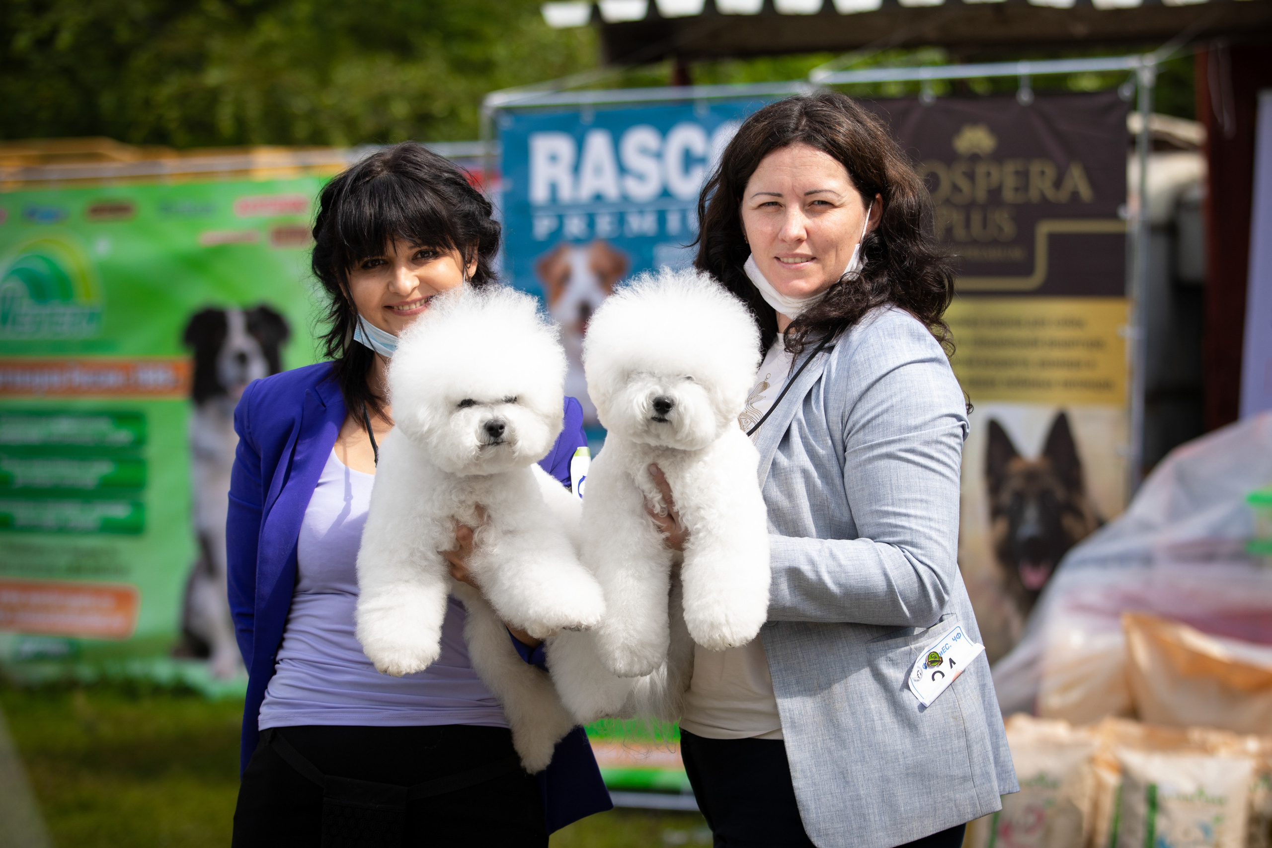 бишон фризе выставка собак Магнитогорск монка 