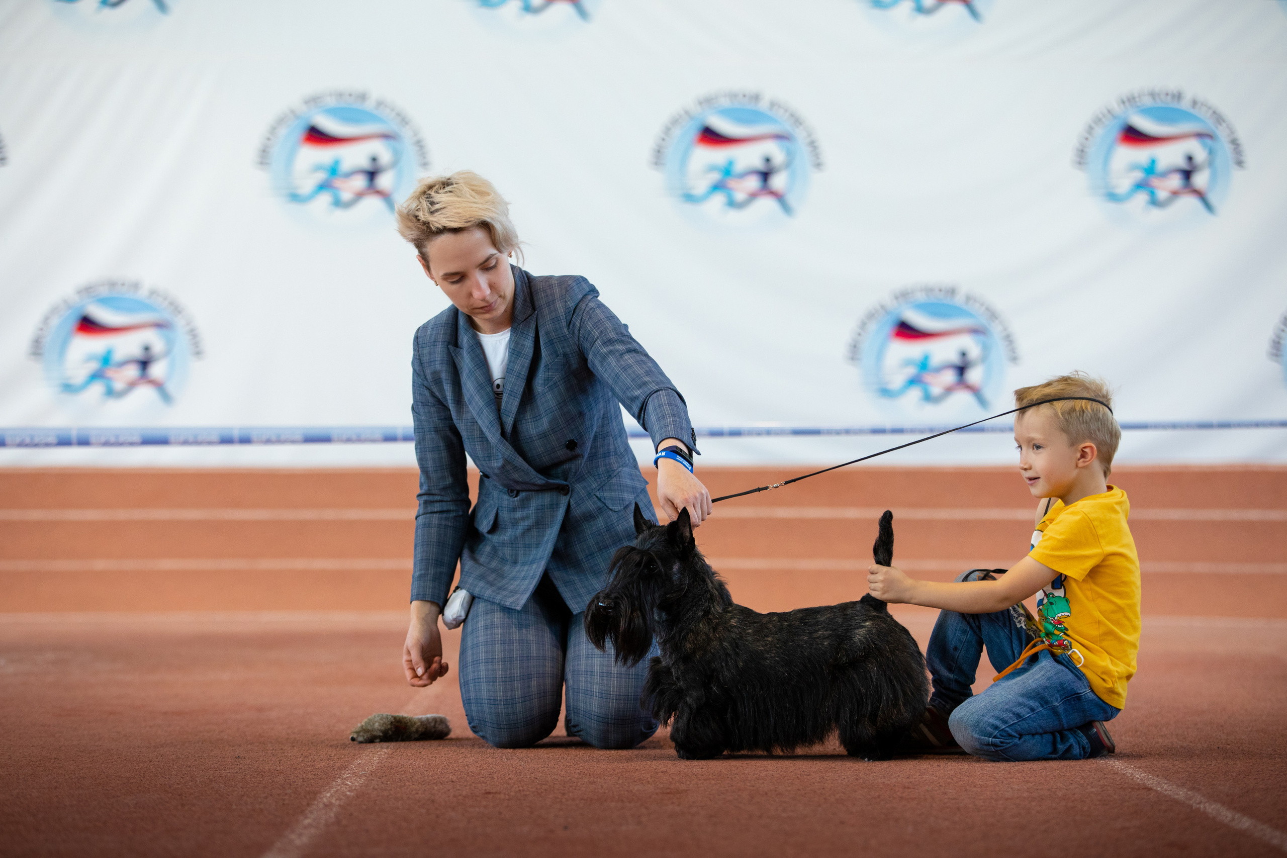 скотч терьер собака и ребенок выставка забавные моменты