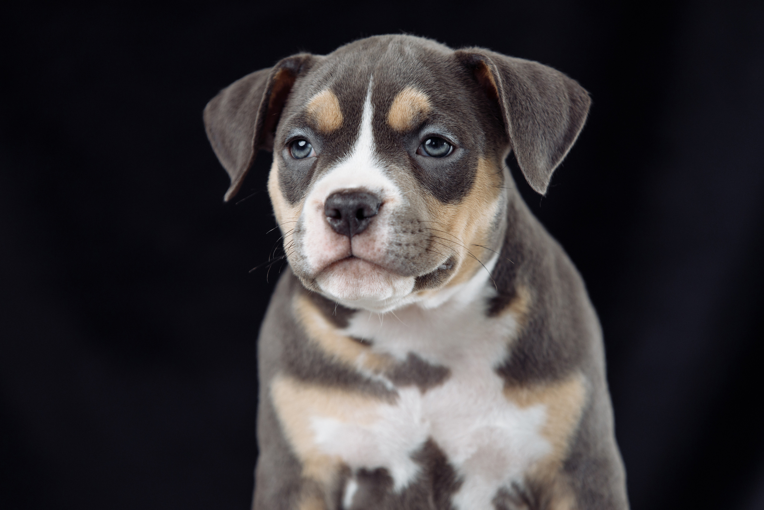 BABY TIME. Фотограф-анималист Саша Вязьмина