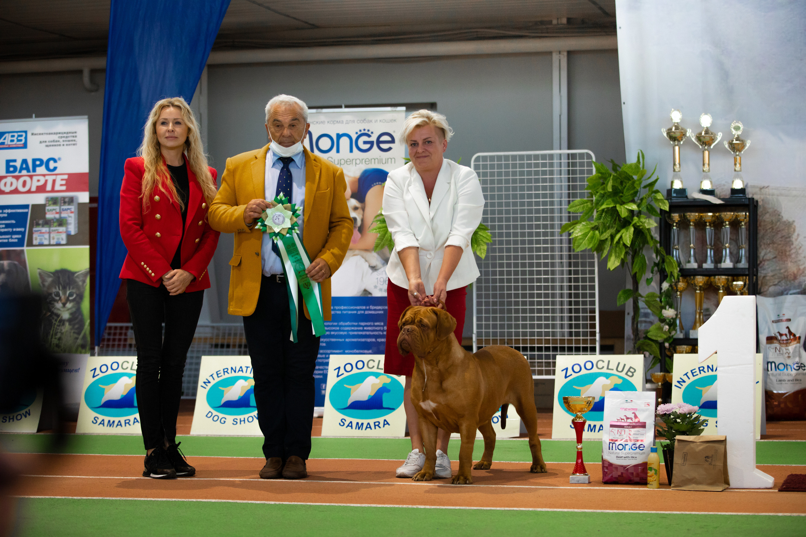 выставка собак сасиб самара фото с рингов бестов