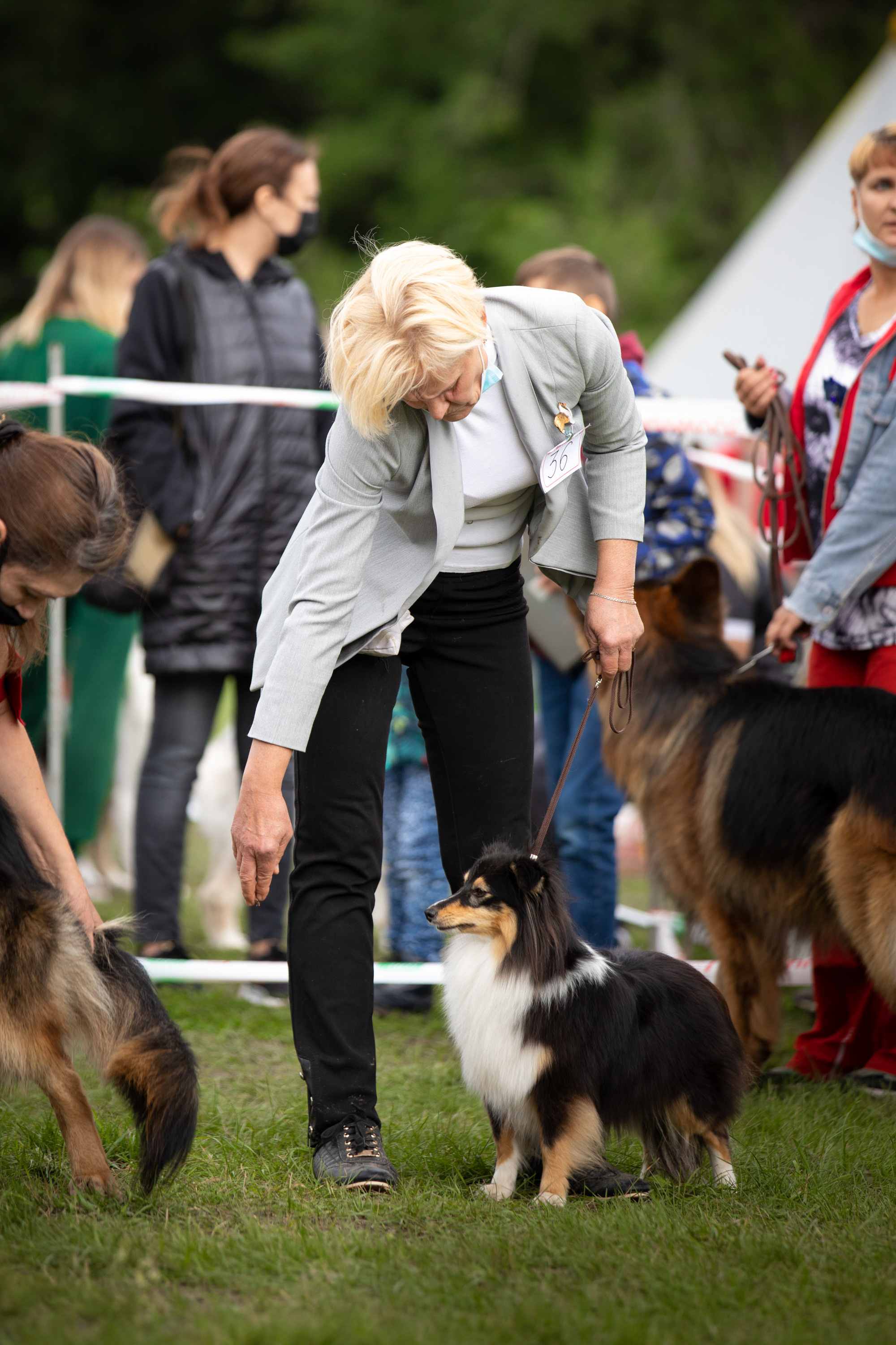 бесты конкурсы выставка собак Магнитогорск фотограф Саша вязьмина 